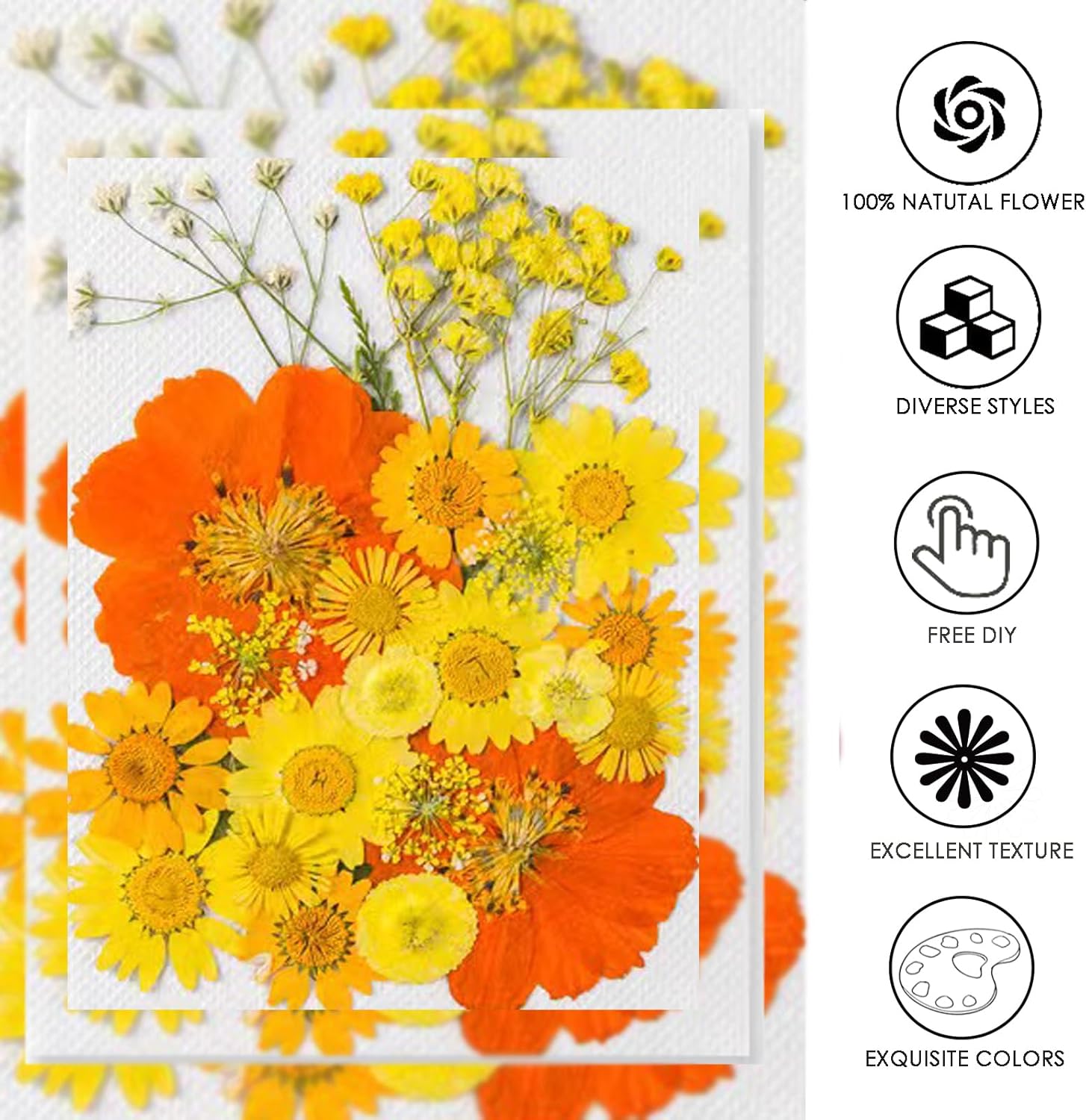 Dried Pressed Flowers for Resin and Crafts Orange