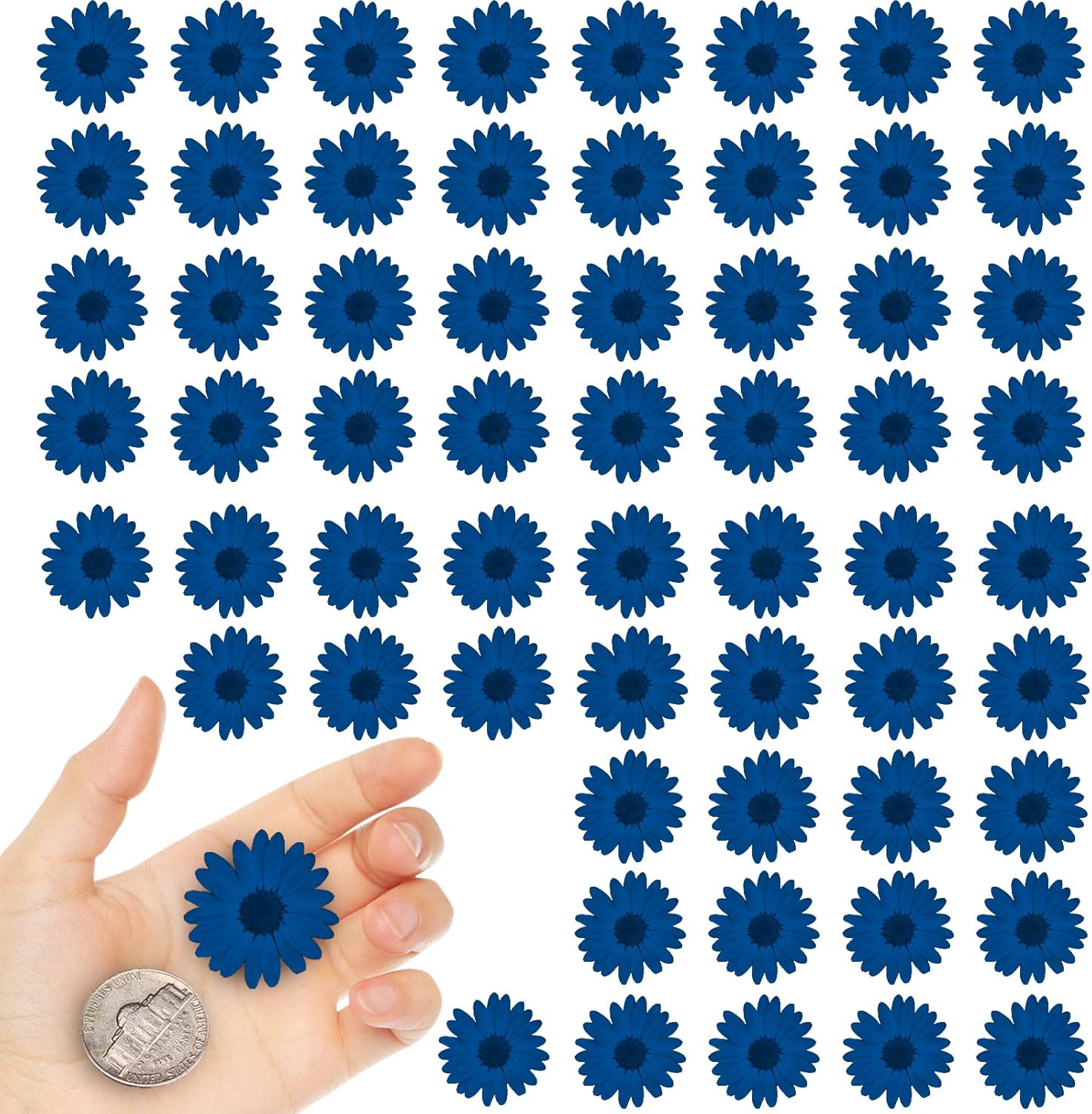 CyHiThai Blue Dried Flowers for Resin Crafts 60PCS