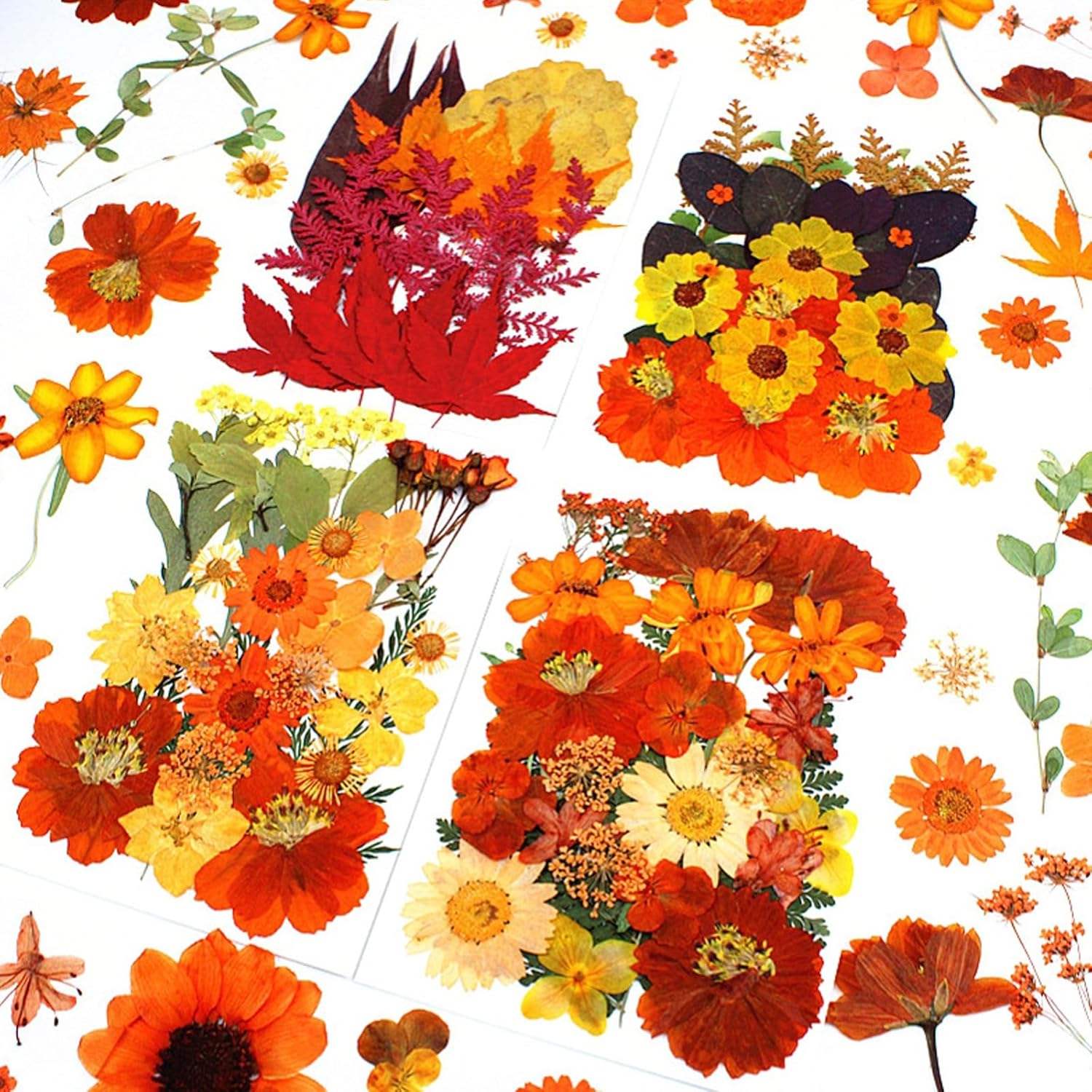 25Pcs Real Dried Flowers for Resin Art Crafts