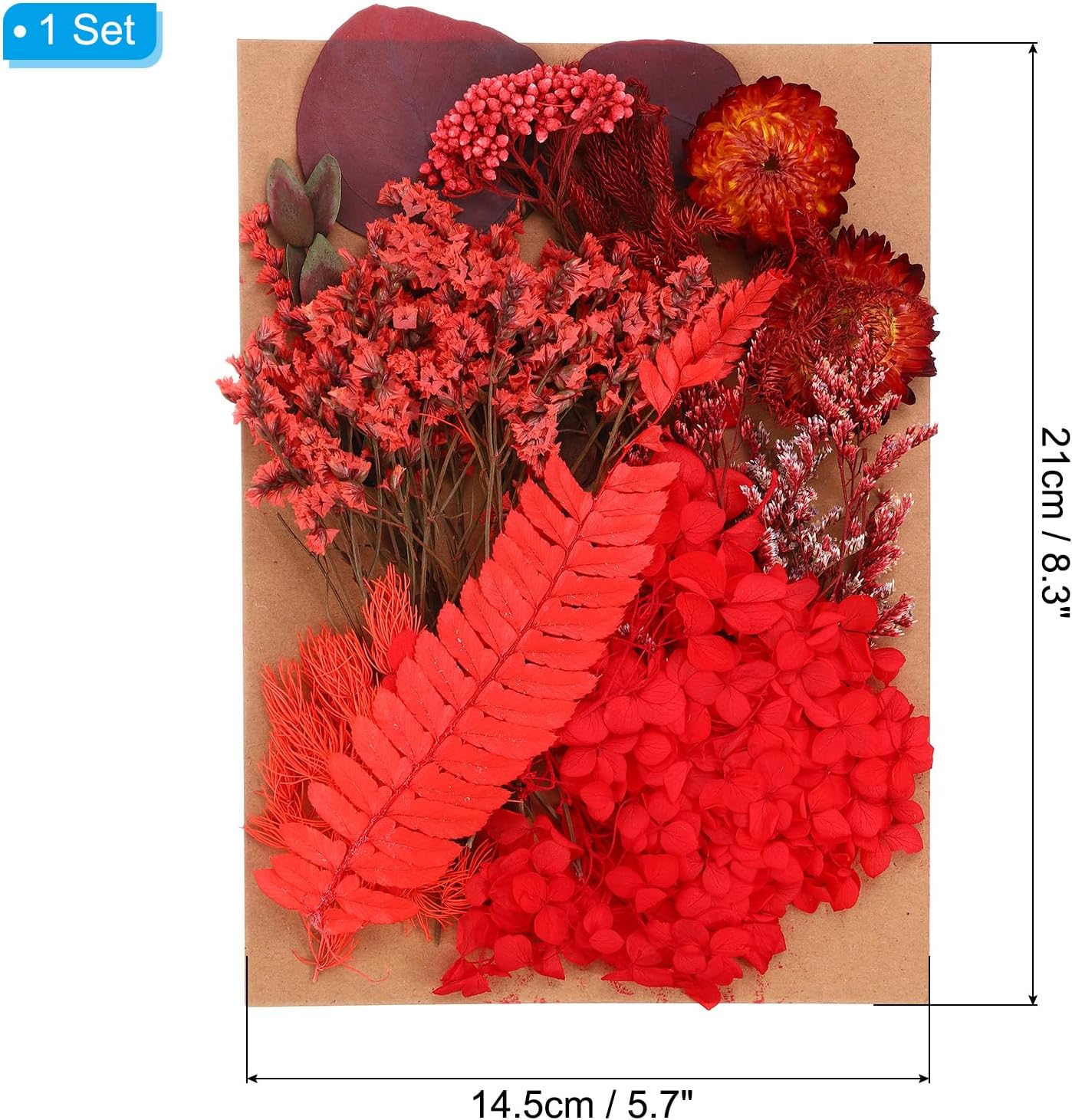 PATIKIL Pressed Flowers for Paper Crafts and DIY Projects