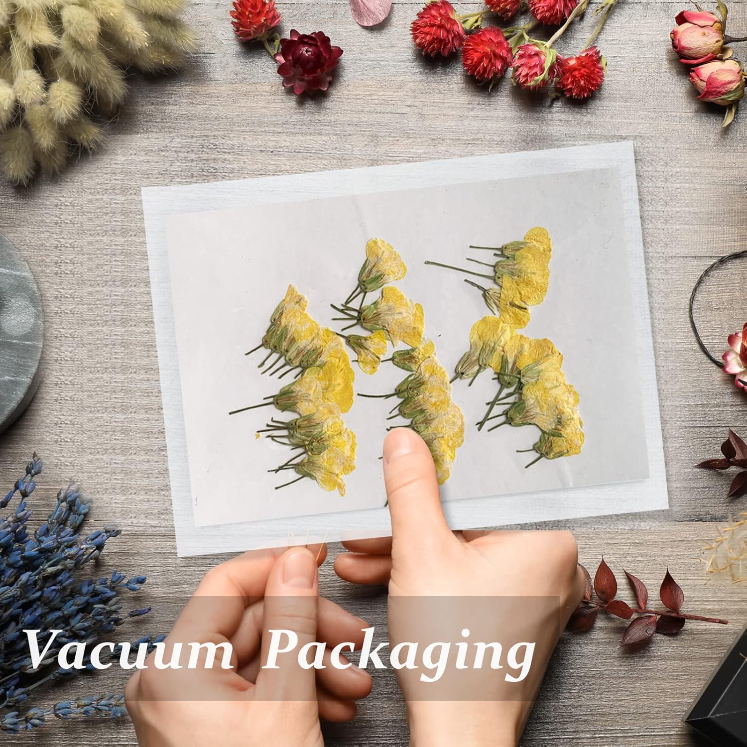 60PCS Yellow Pressed Rapeseed Flowers for Resin Crafts