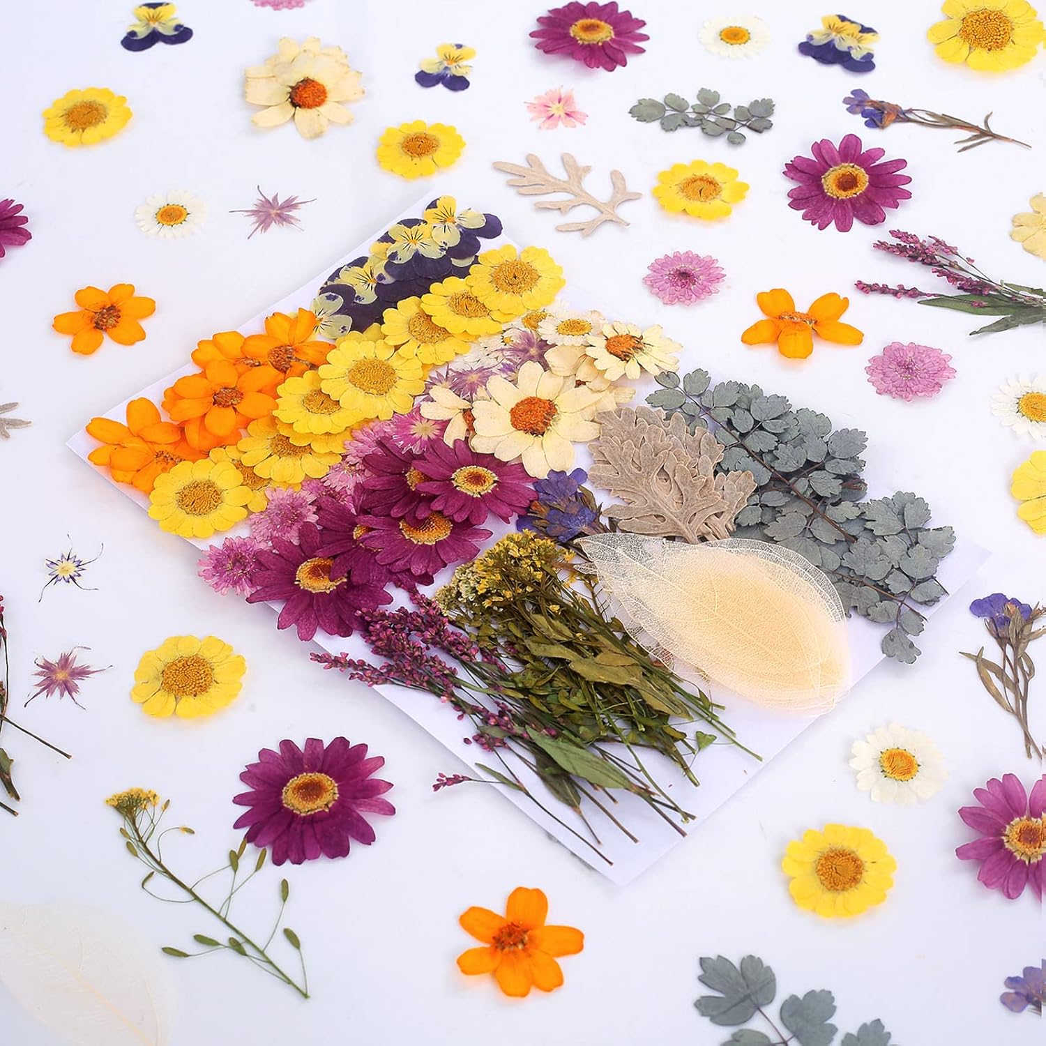 100 PCS Real Dried Pressed Flowers Leaves for Resin Jewelry Crafting - Purple