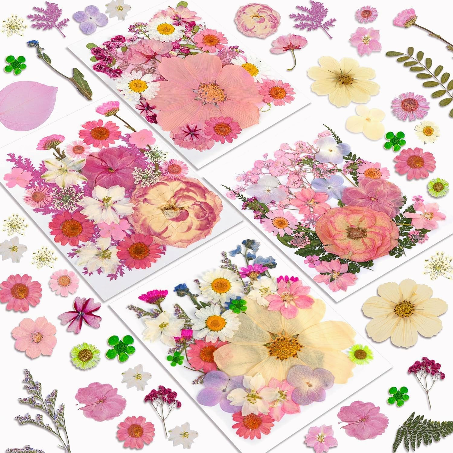 100 Pcs Dried Flowers for Resin Crafts and DIY Projects