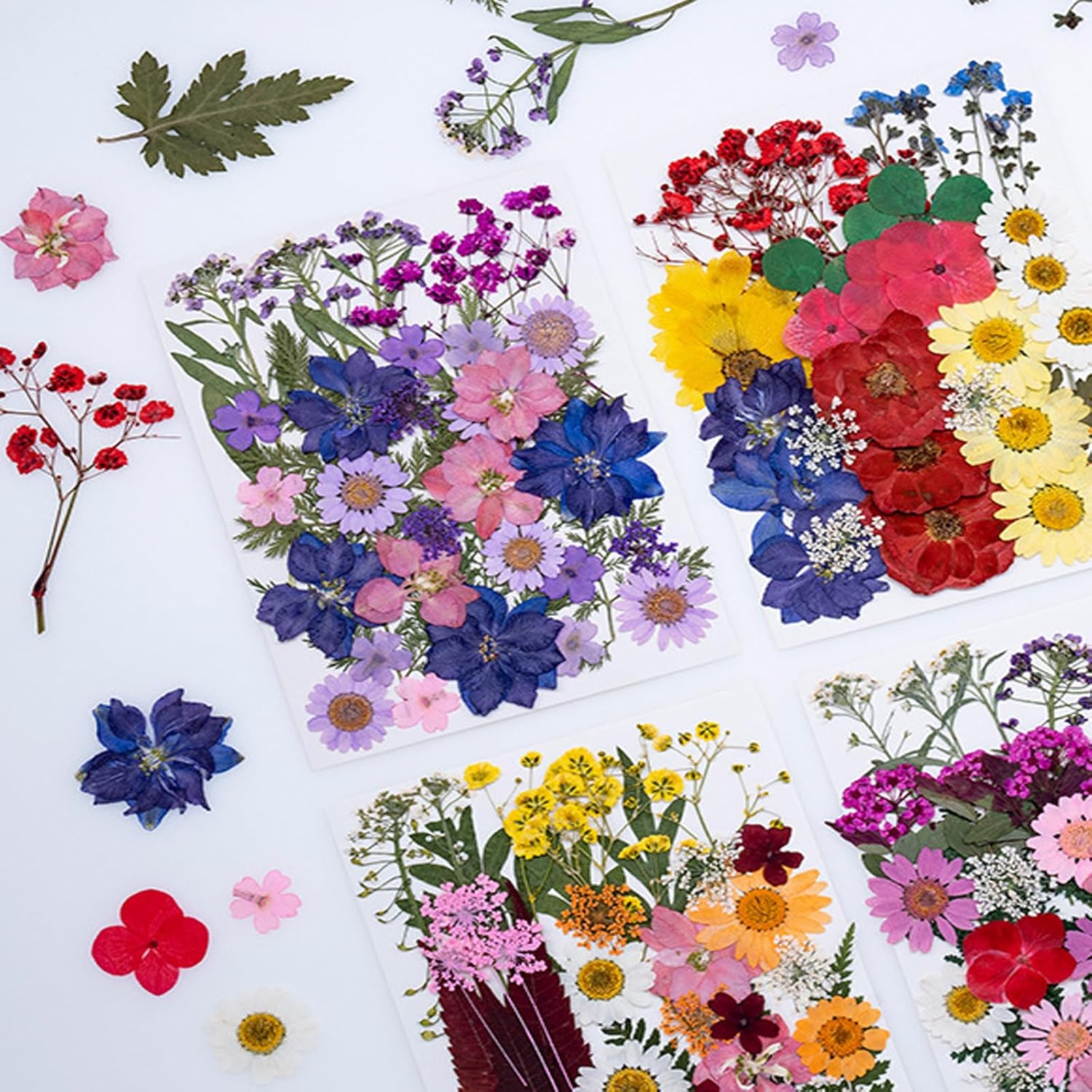 35Pcs Dried Pressed Flowers for Resin DIY Art Crafts
