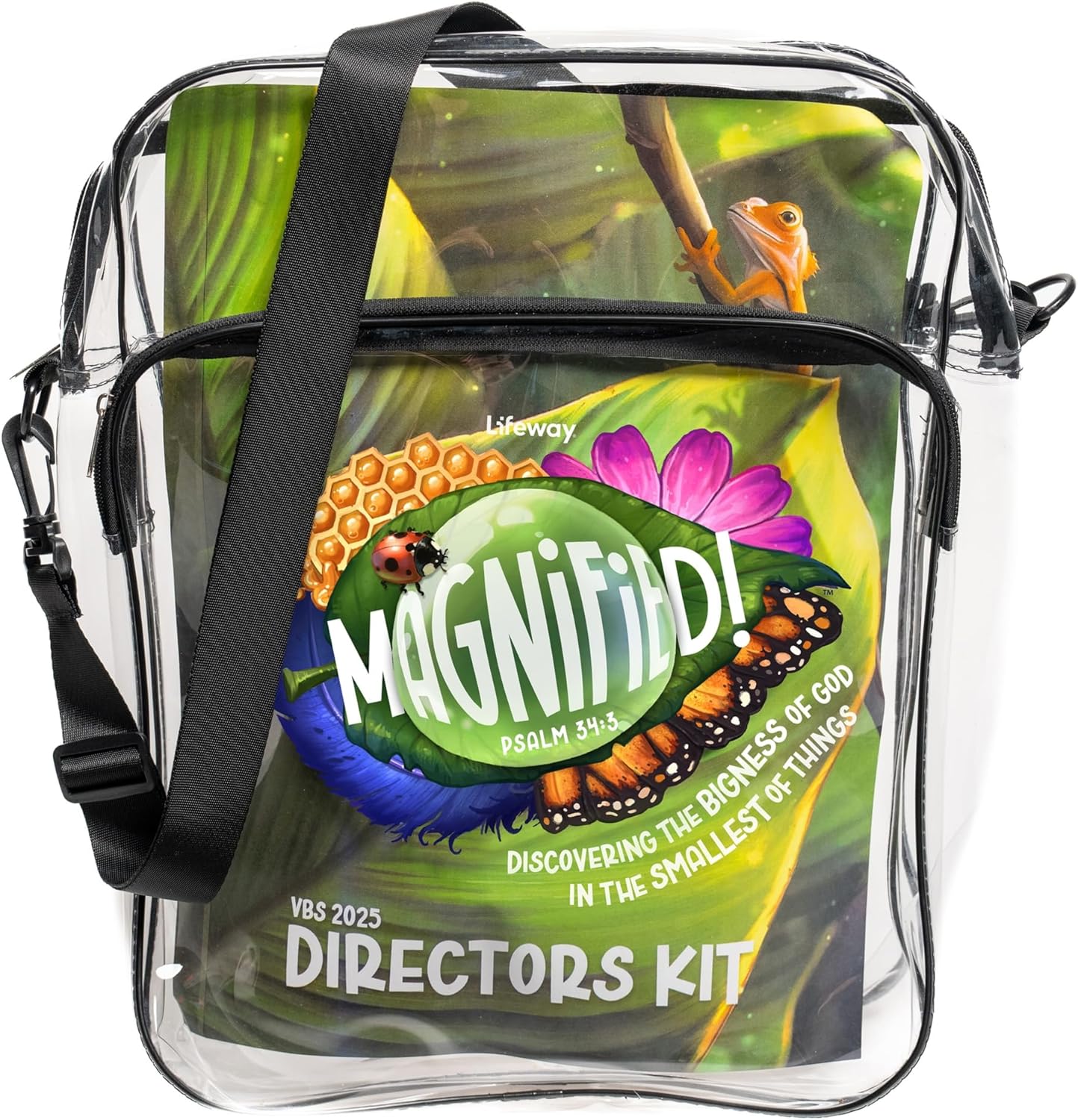 Lifeway Kids VBS 2025 Magnified Directors Kit