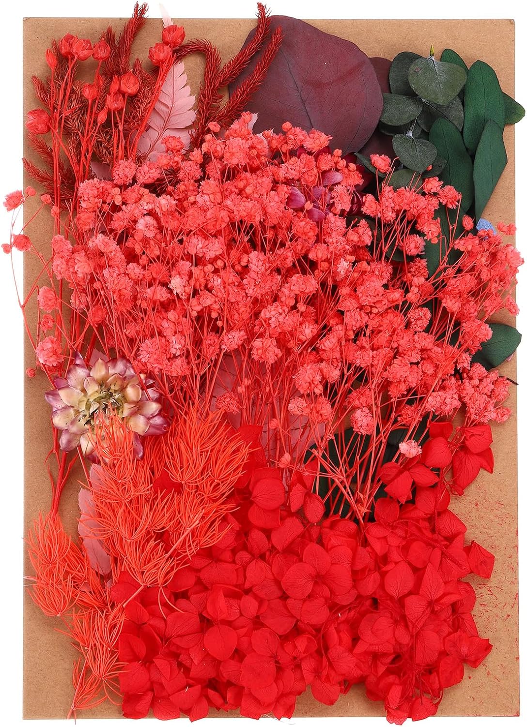 PATIKIL Red Dried Flowers for Resin Soap Candle Craft