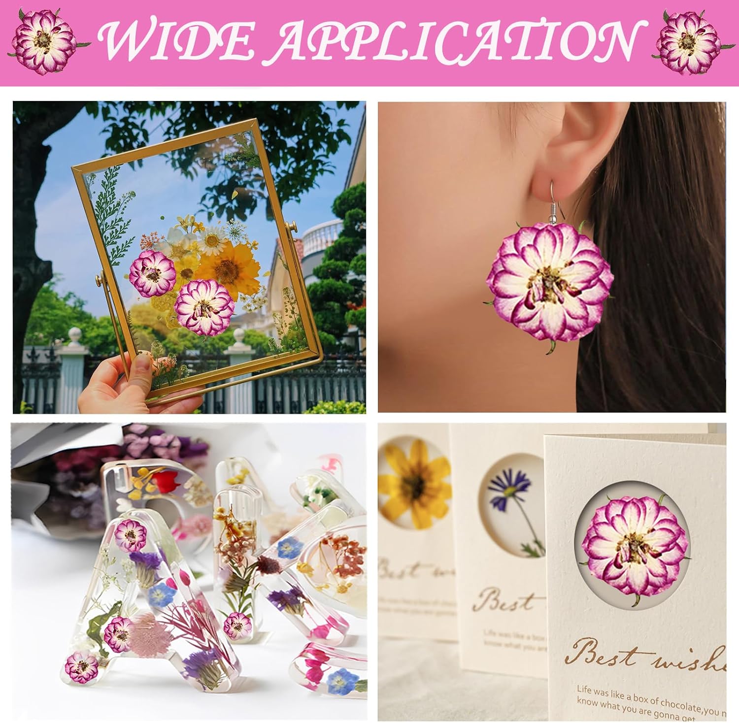 Natural Dried Two-Tone Rose Flowers for Resin Crafts