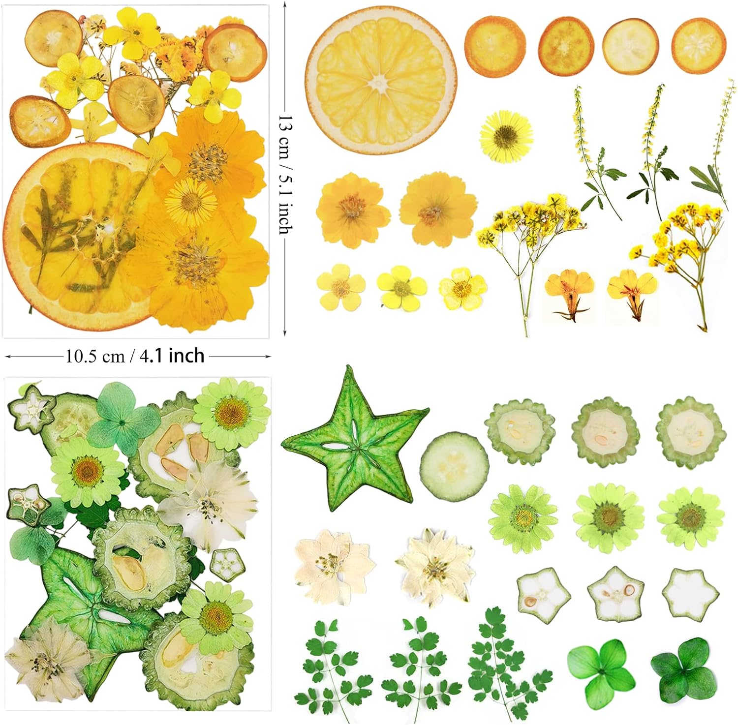 Pressed Dried Flowers Fruits Resin Molds 75 Pieces Assorted