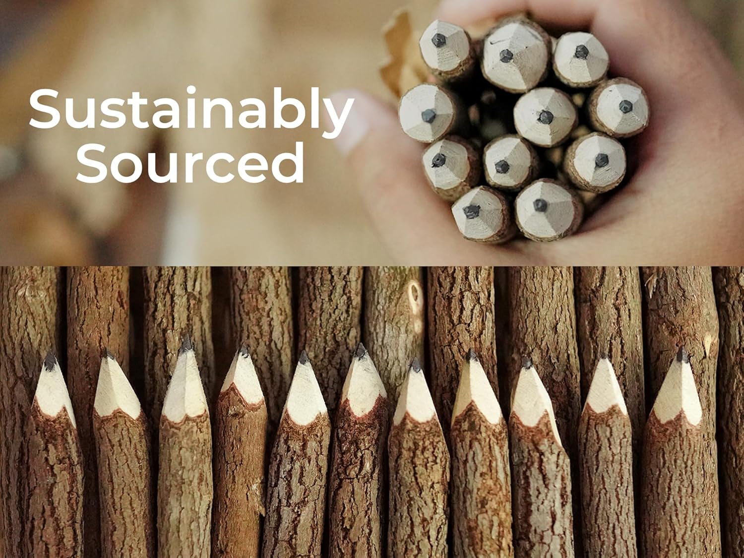 BSIRI Natural Wood Graphite Twig Pencils Set of 12