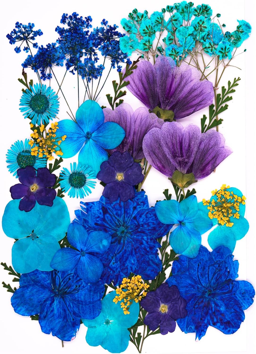 30 Pcs Dried Flowers Leaves Resin Crafting Decor