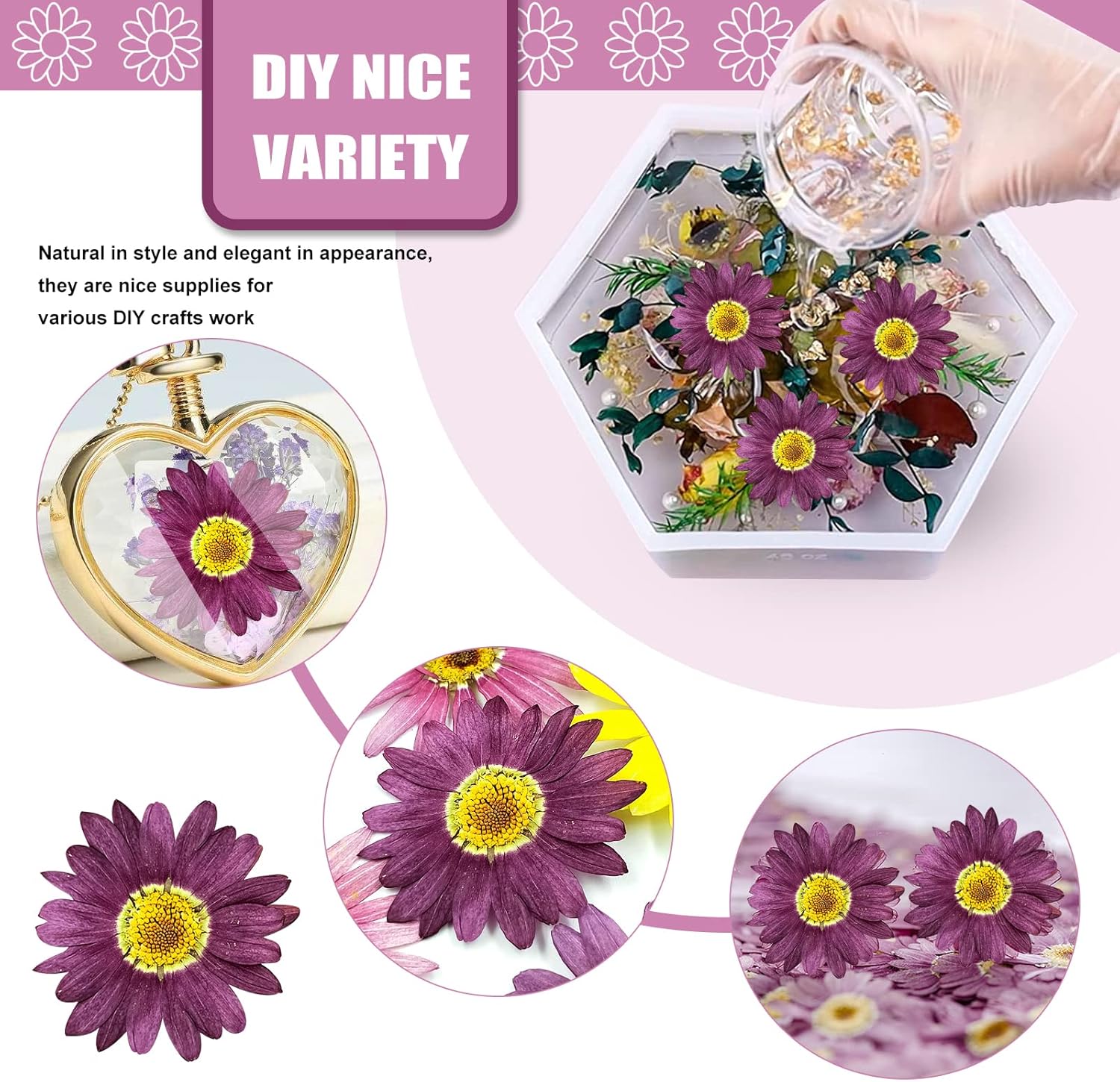 Purple Dried Sunflowers Margarita Daisies for Resin Crafts 60PCS