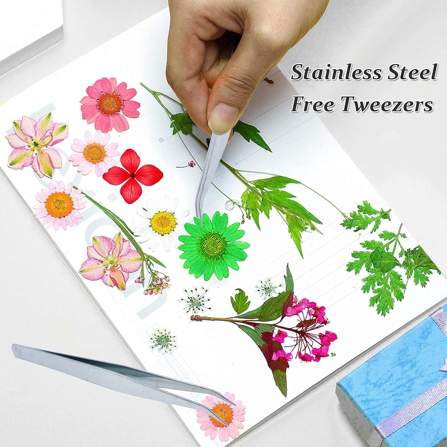 60PCS Dried Pressed Daisy Flowers for DIY Crafts