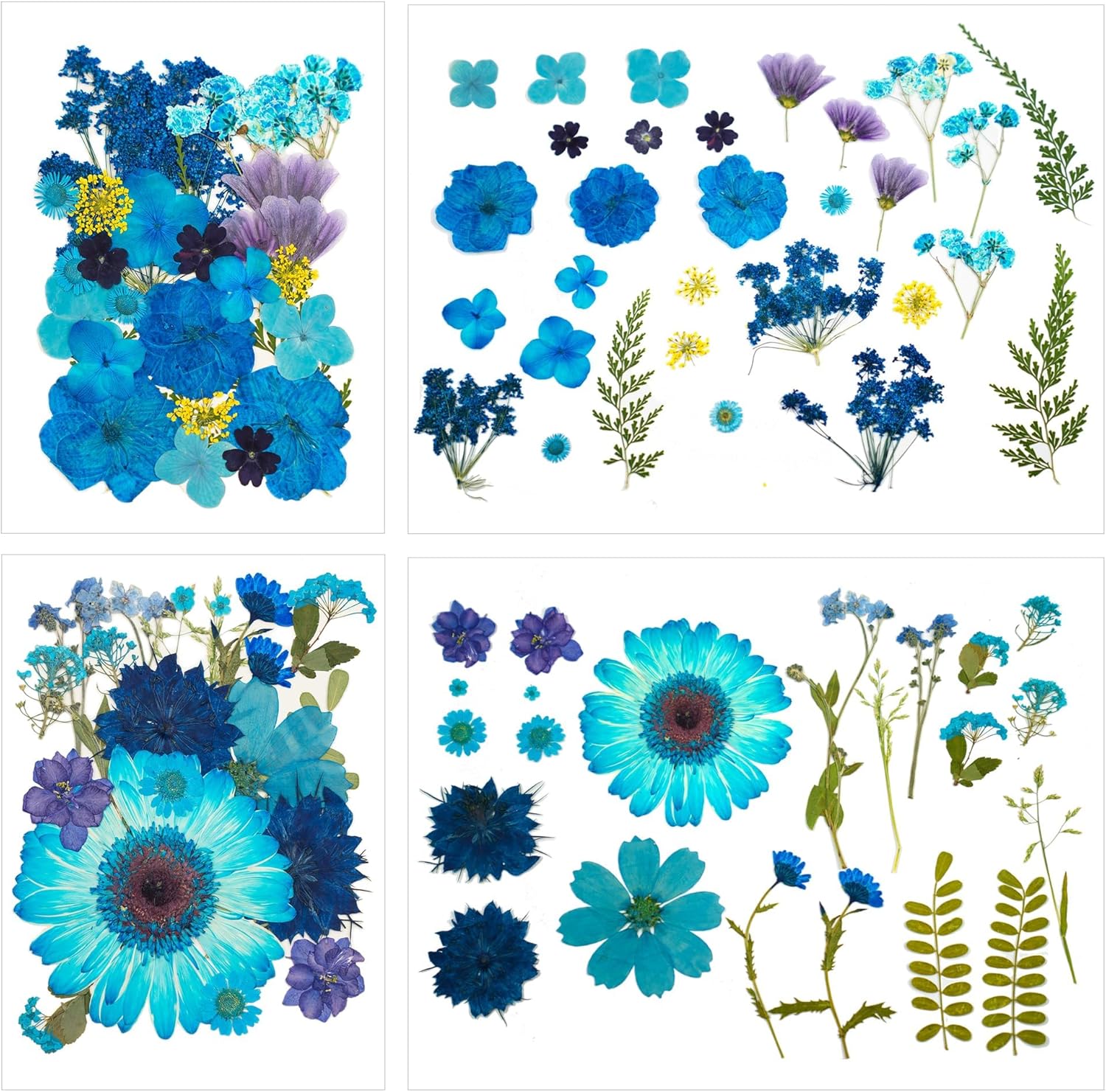 100 Pcs Dried Pressed Flowers for Epoxy Resin Jewelry and Scrapbooking