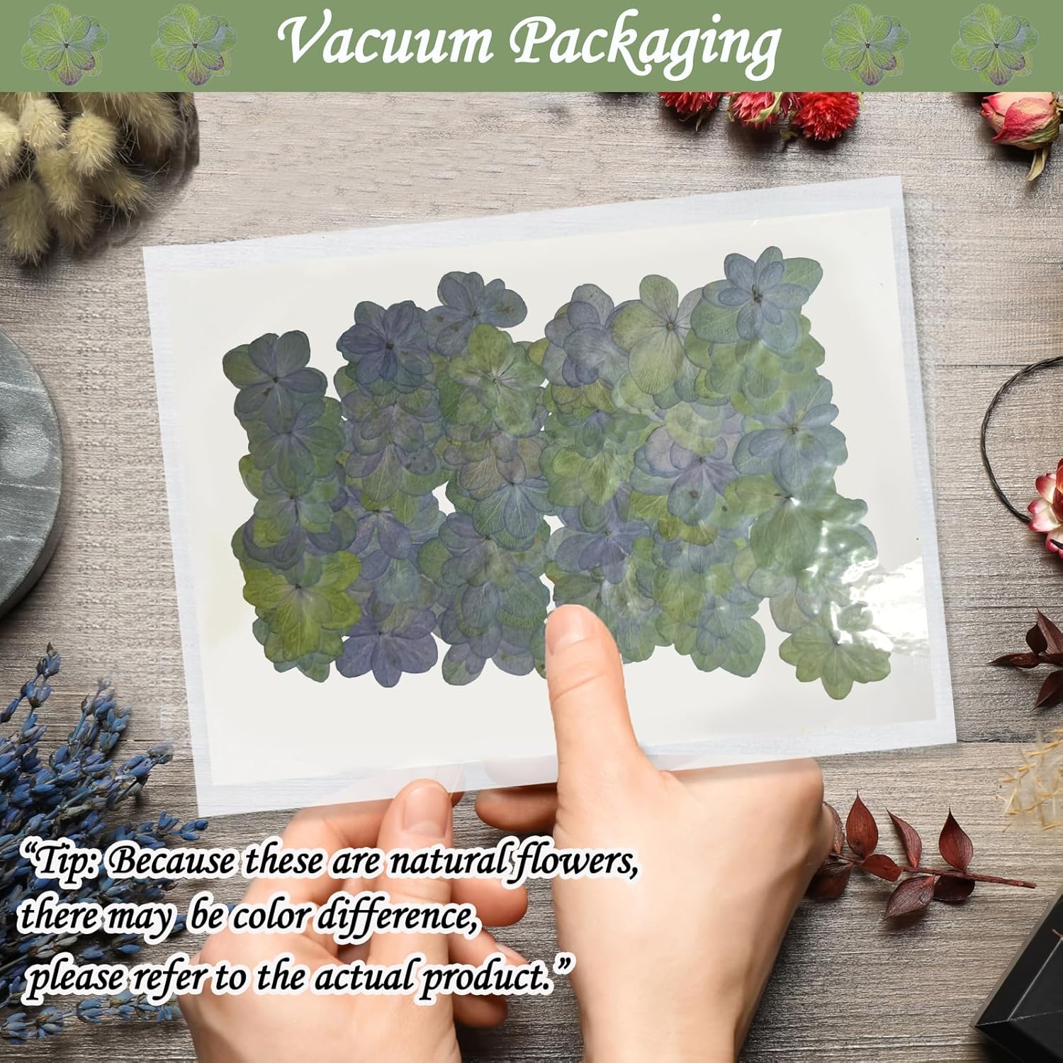 60PCS Green Dried Double Hydrangea for Resin Crafts