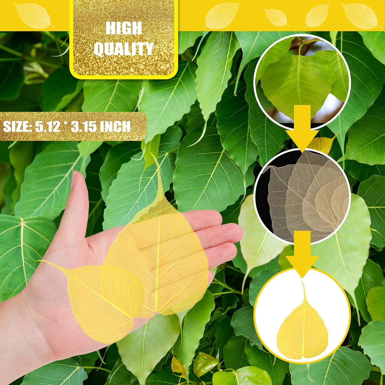 Natural Skeleton Leaves Vein for Resin Craft 42PCS