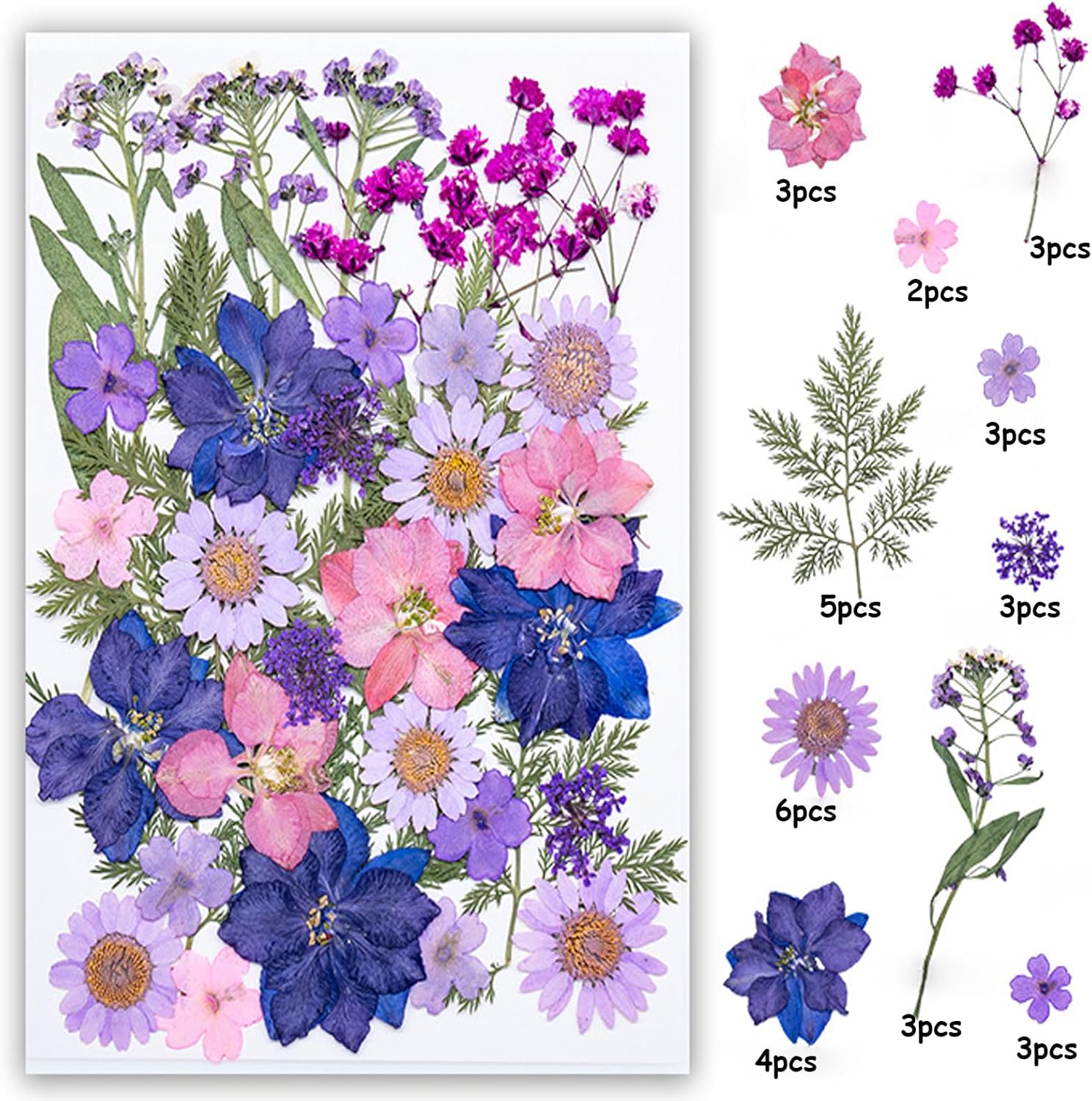 35Pcs Dried Pressed Flowers for Resin DIY Art Crafts