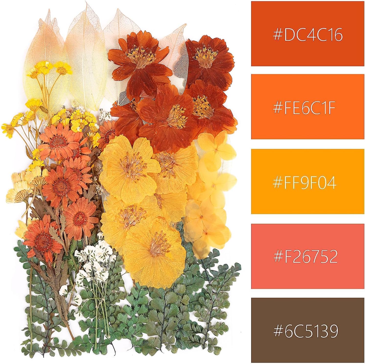 AHTONG 100 PCS Real Dried Flowers Leaves Natural Plant Herbarium - Fall Yellow Orange