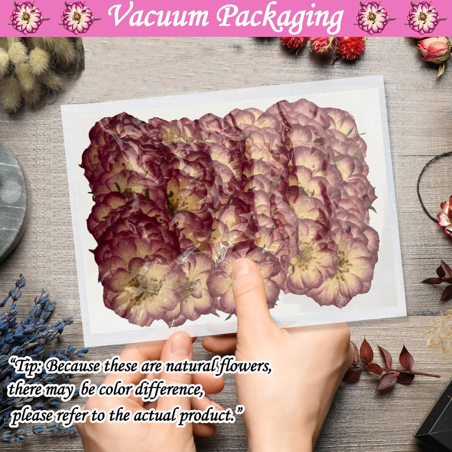 Natural Dried Two-Tone Rose Flowers for Resin Crafts