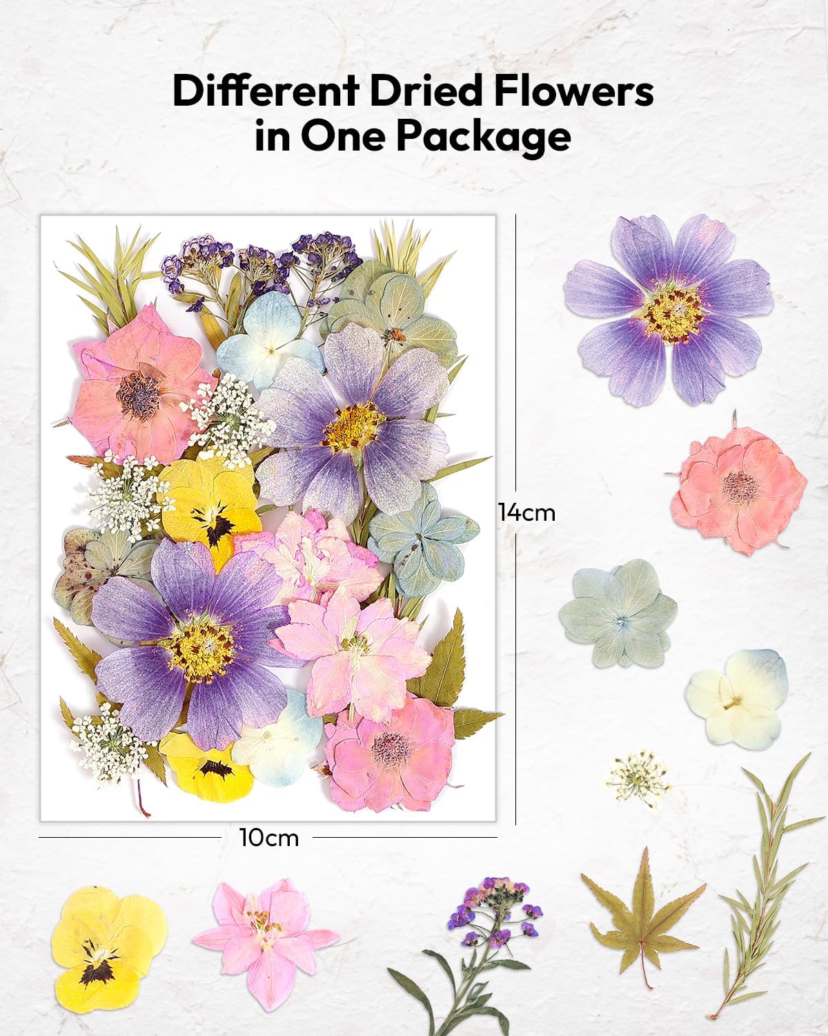Resiners 174Pcs Dried Flowers Pressed for Crafts