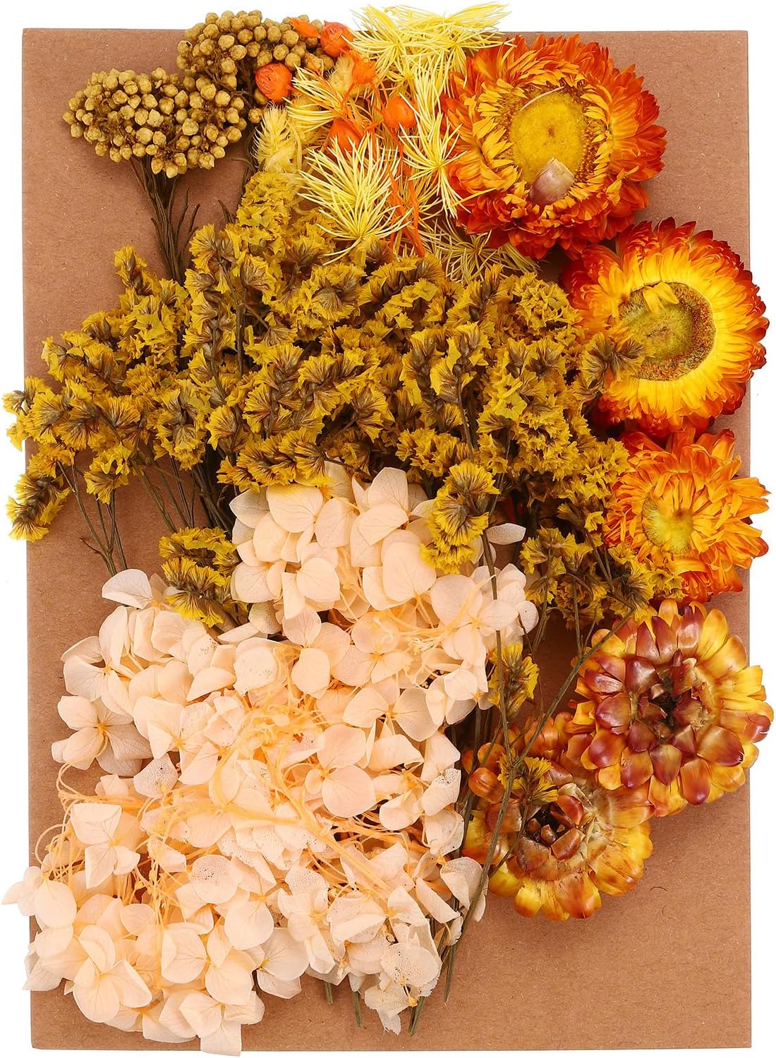 PATIKIL Orange Pressed Flowers for Resin Crafts and DIY Projects