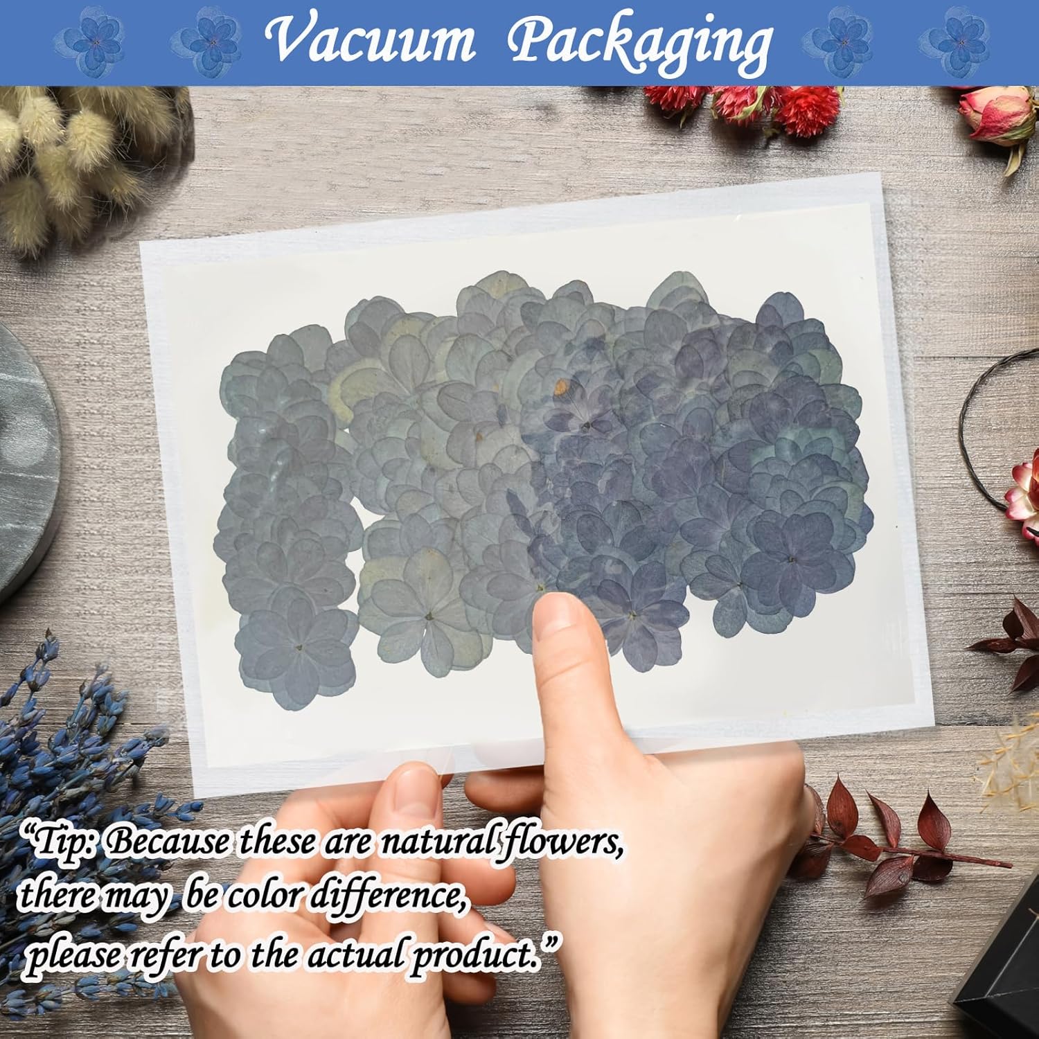 Blue Dried Flowers Double Hydrangea Resin Crafts Embellishments 60PCS