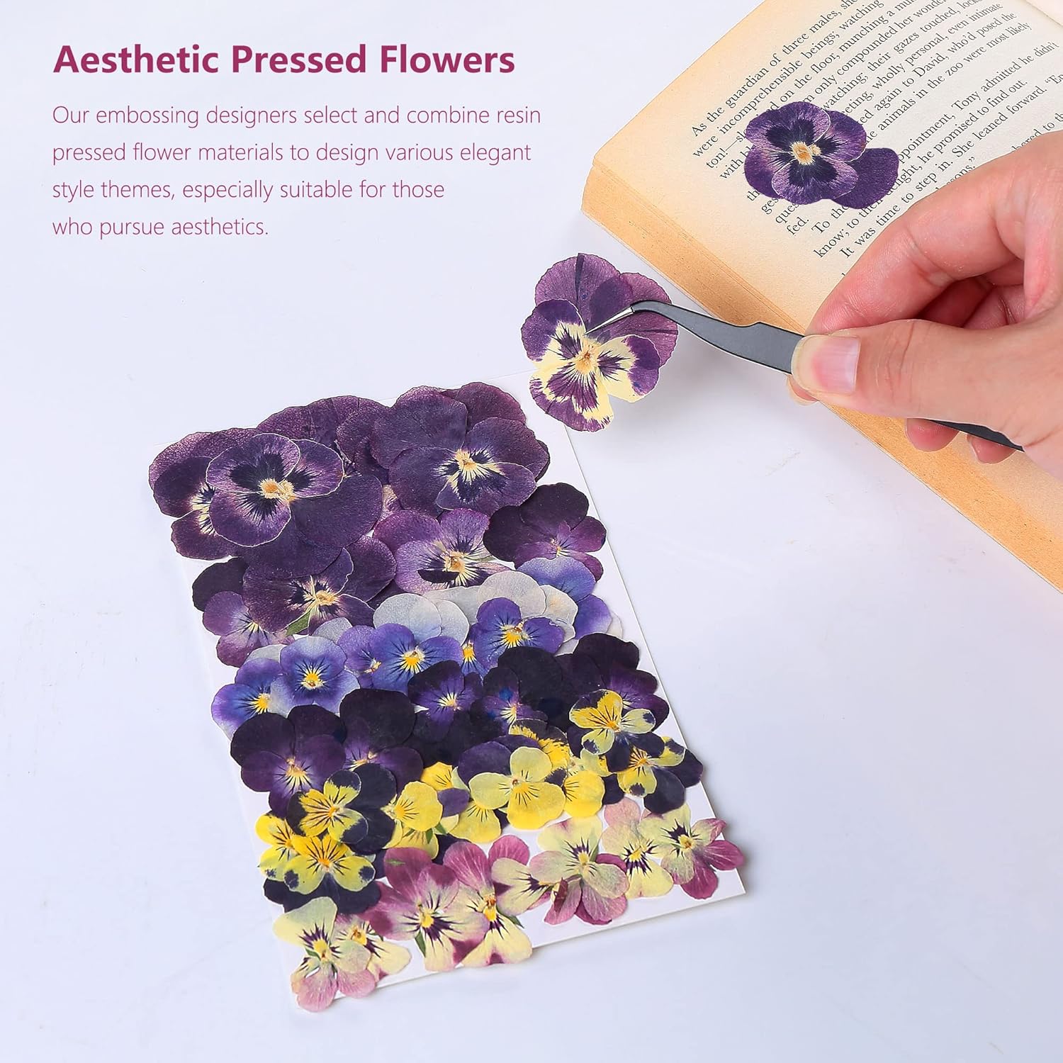 48 Pcs Mix Natural Dried Johnny Jump Up Flowers for Crafts
