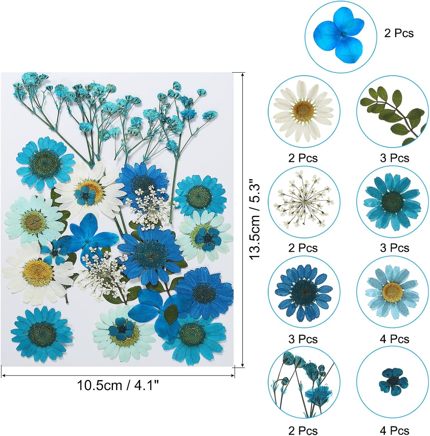 PATIKIL Dried Pressed Flowers Blue Series Art Craft Set