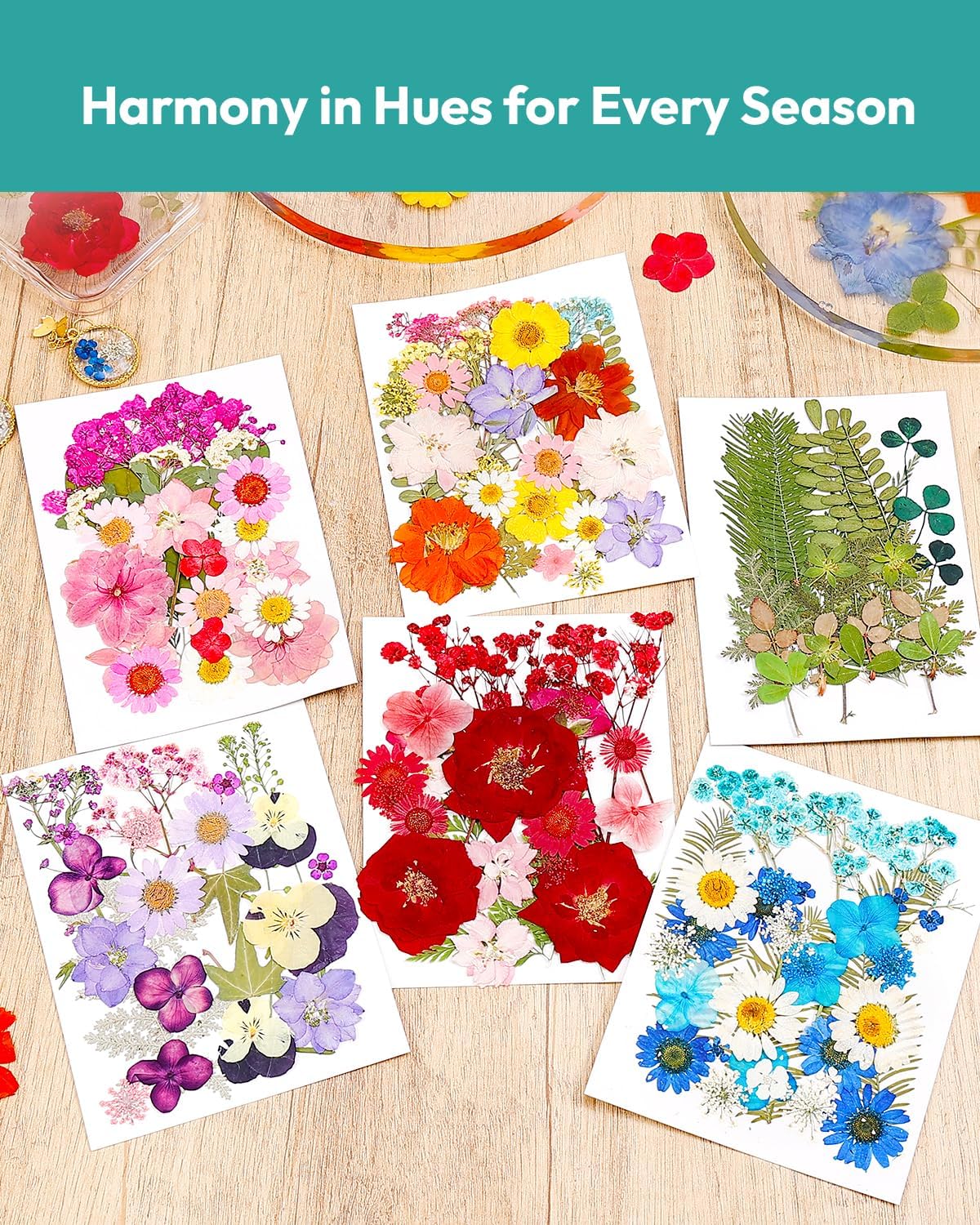174 Pcs Dried Flowers Pressed for Craft Projects