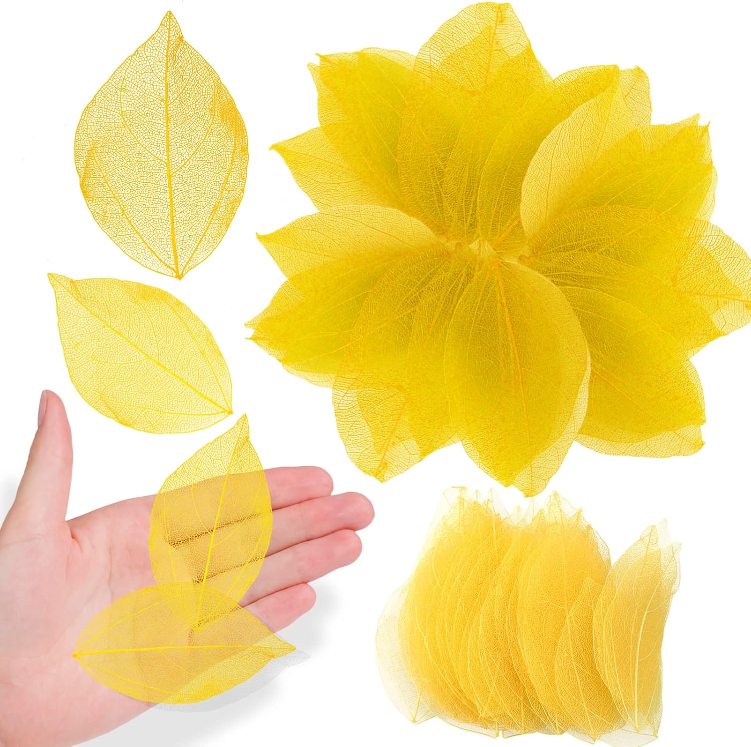 Natural Skeleton Leaf Veins for Resin Art 42PCS