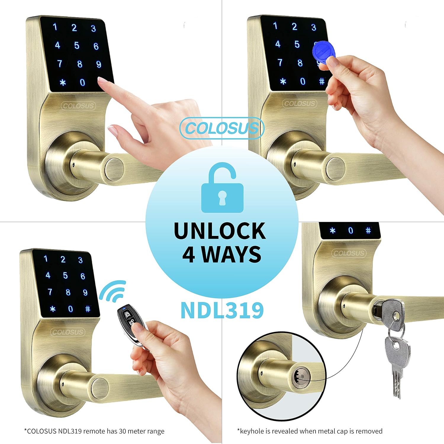 Colosus NDL319 Keyless Door Lock with Touchscreen