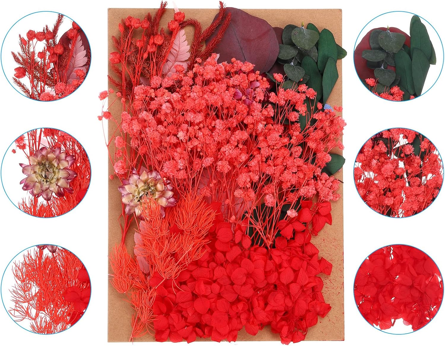 PATIKIL Red Dried Flowers for Resin Soap Candle Craft