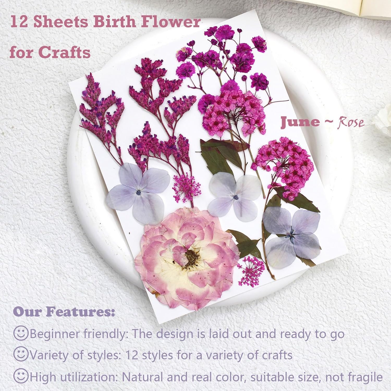 12 Packs Real Dried Flowers for Crafts and Decor