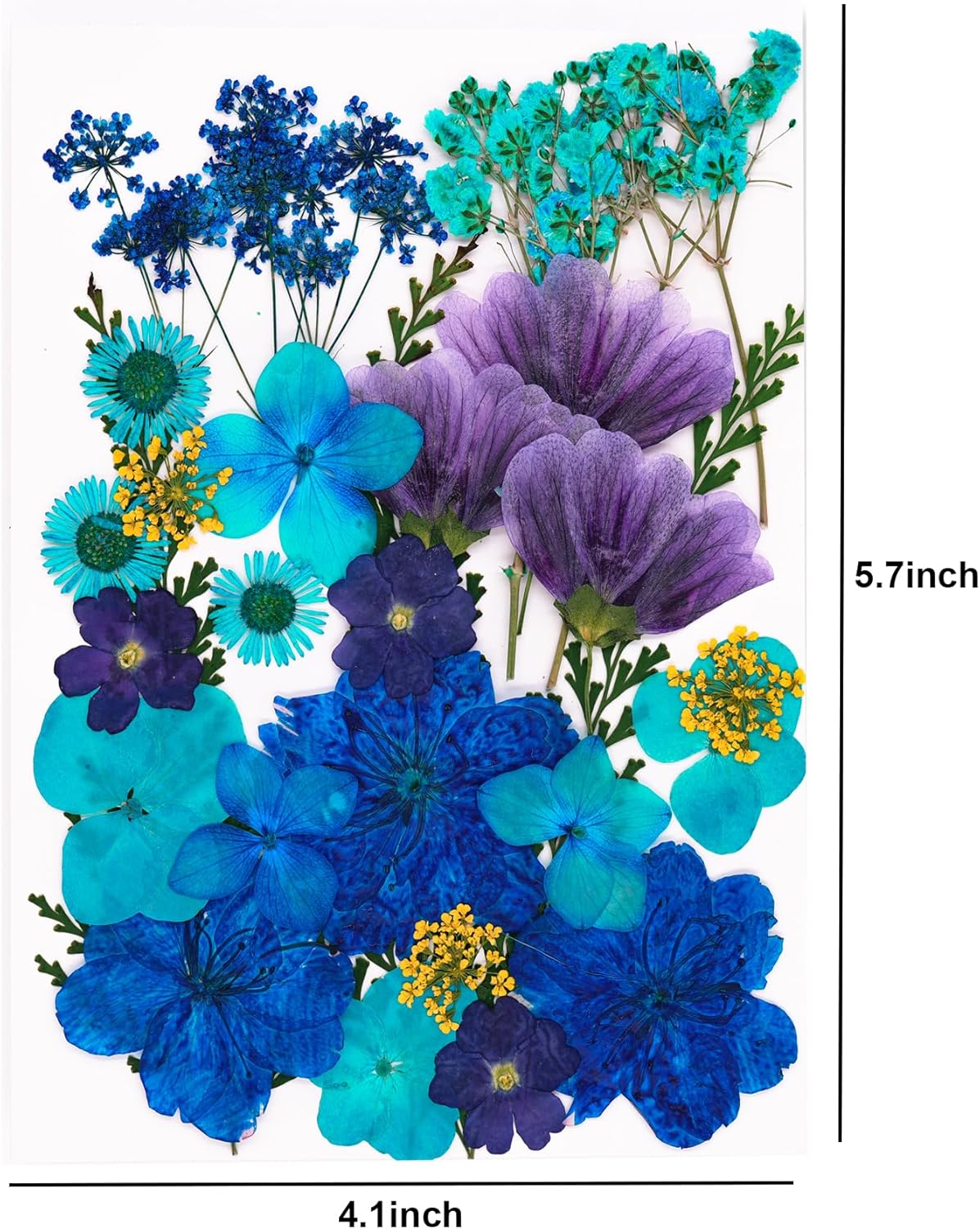30 Pcs Dried Flowers Leaves Resin Crafting Decor