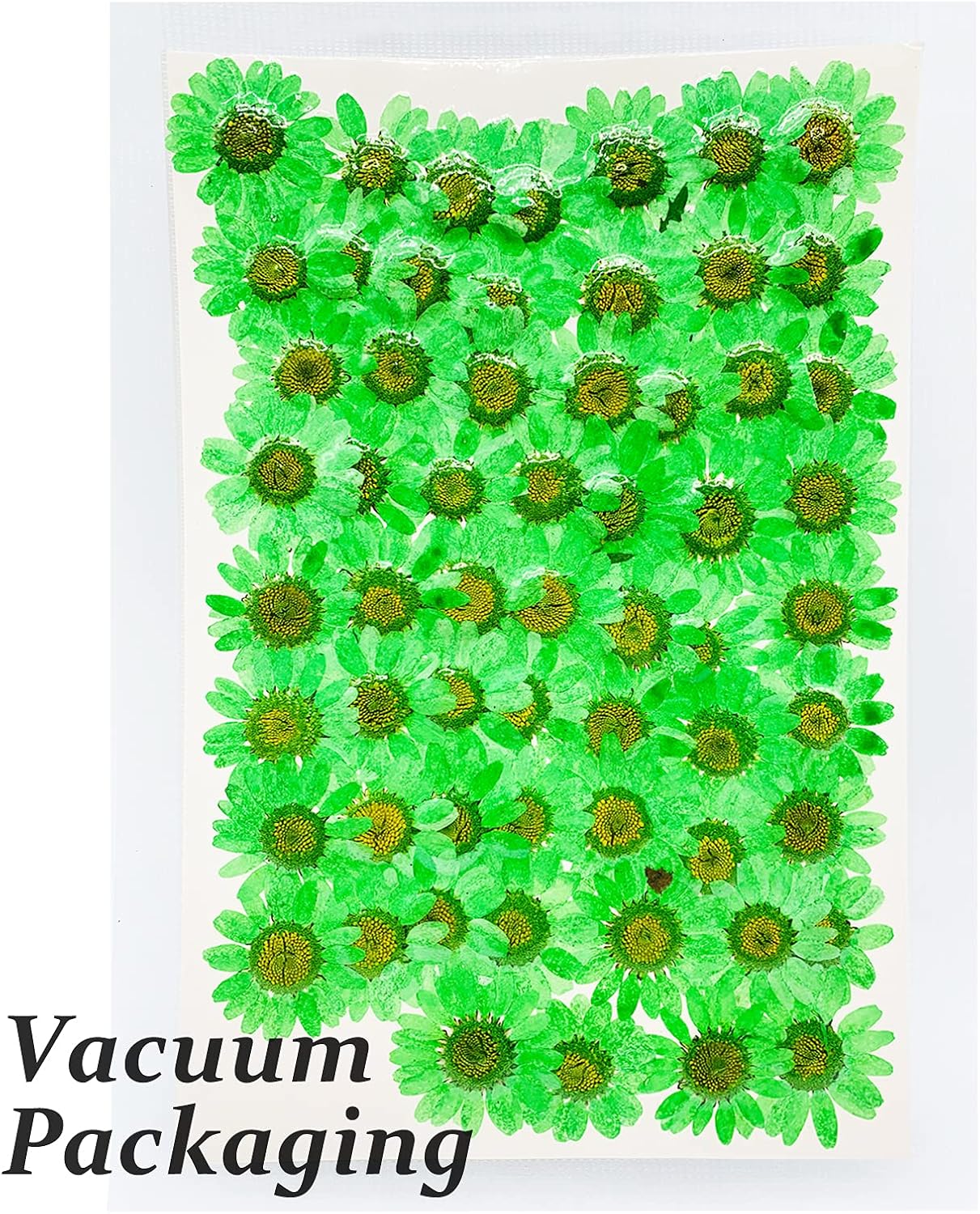 60PCS Dried Pressed Daisy Flowers for DIY Crafts