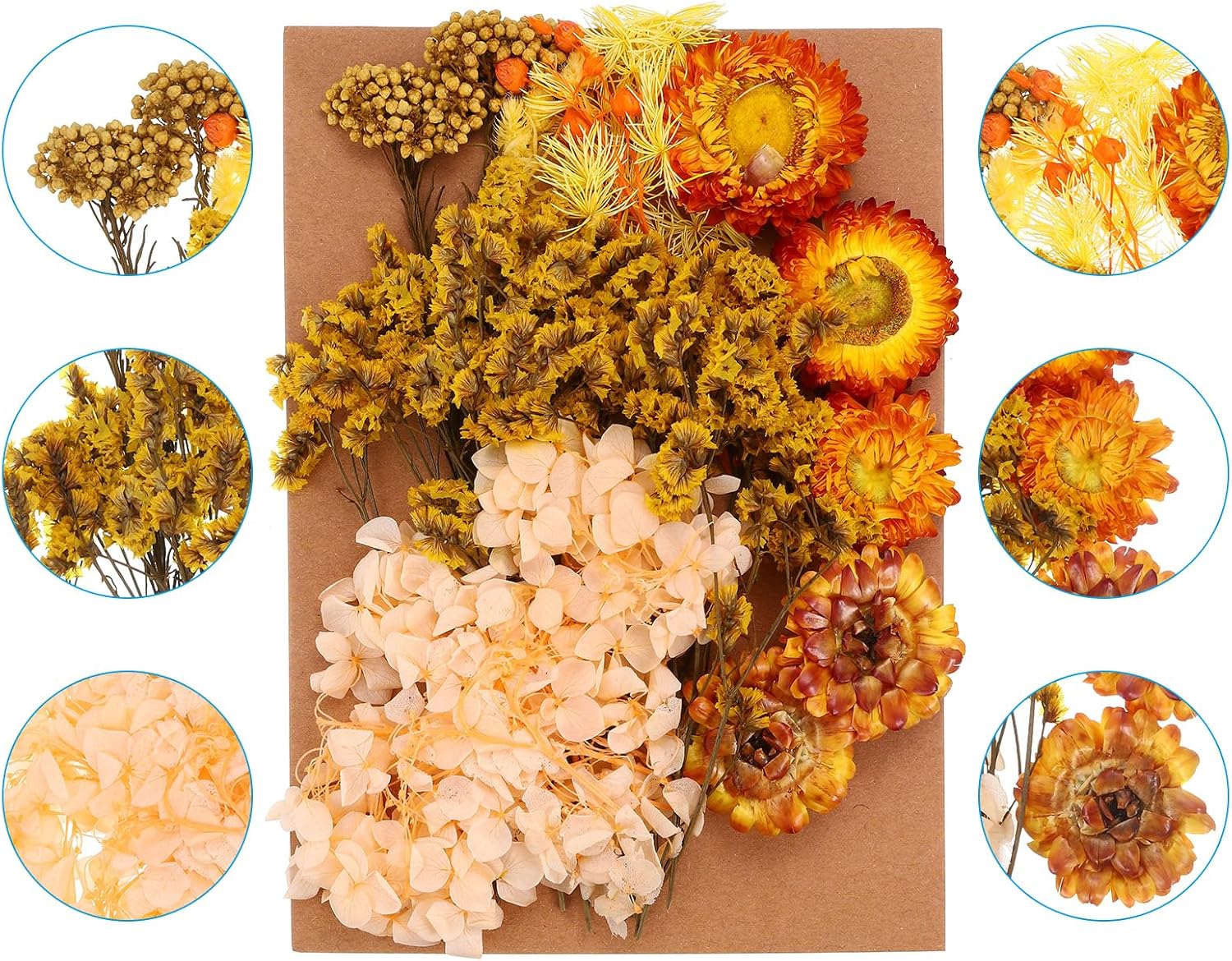 PATIKIL Orange Pressed Flowers for Resin Crafts and DIY Projects