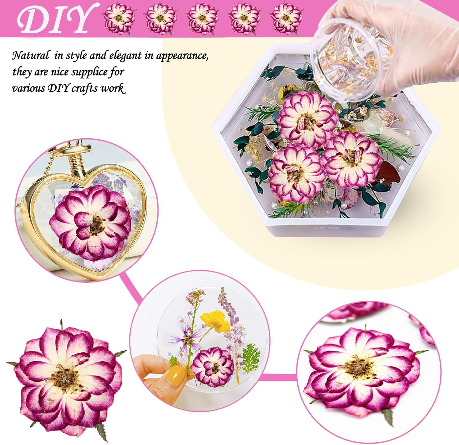 Natural Dried Two-Tone Rose Flowers for Resin Crafts
