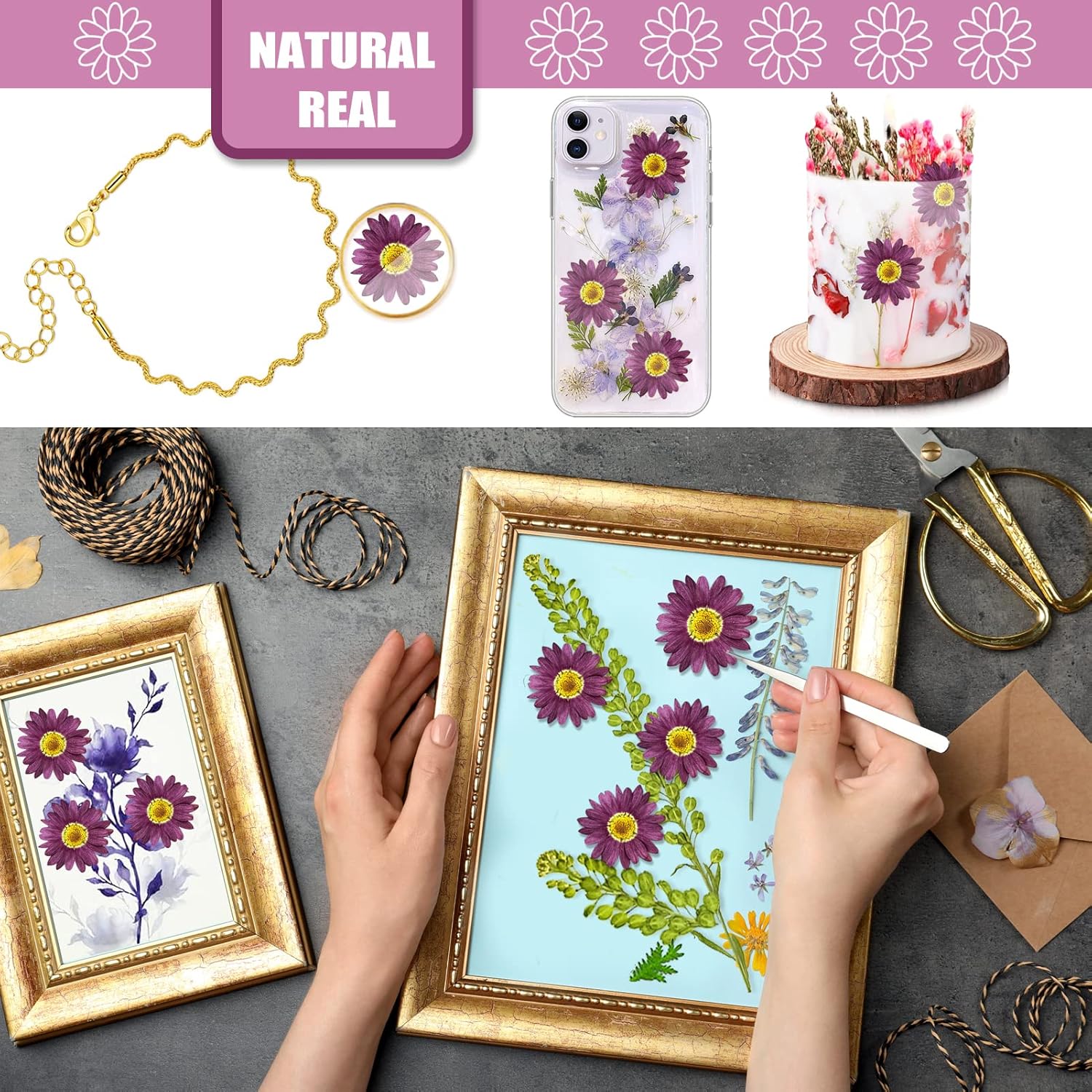 Purple Dried Sunflowers Margarita Daisies for Resin Crafts 60PCS