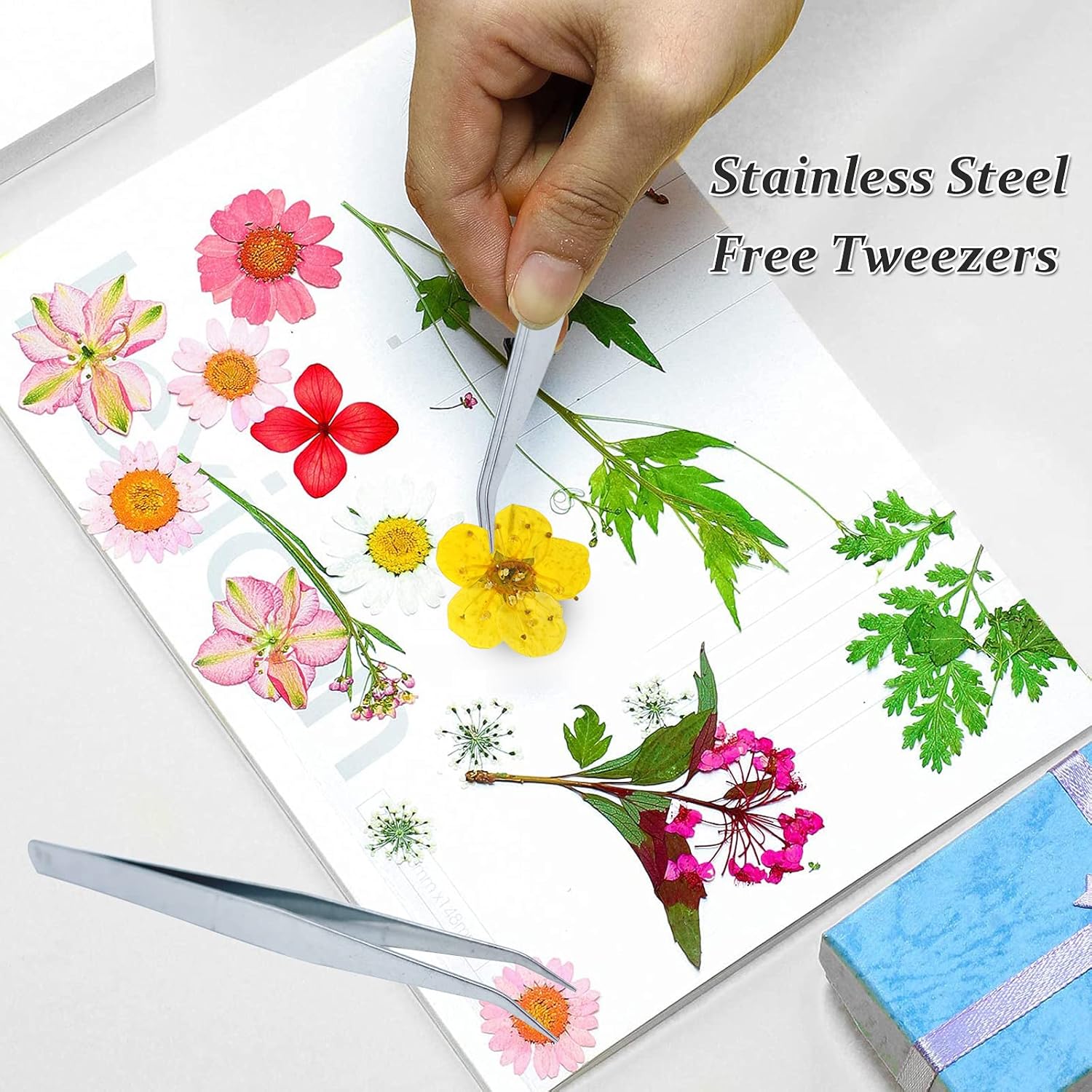 Pressed Dried Flowers 60PCS Yellow Plum Blossom for Resin Crafting and Scrapbooking
