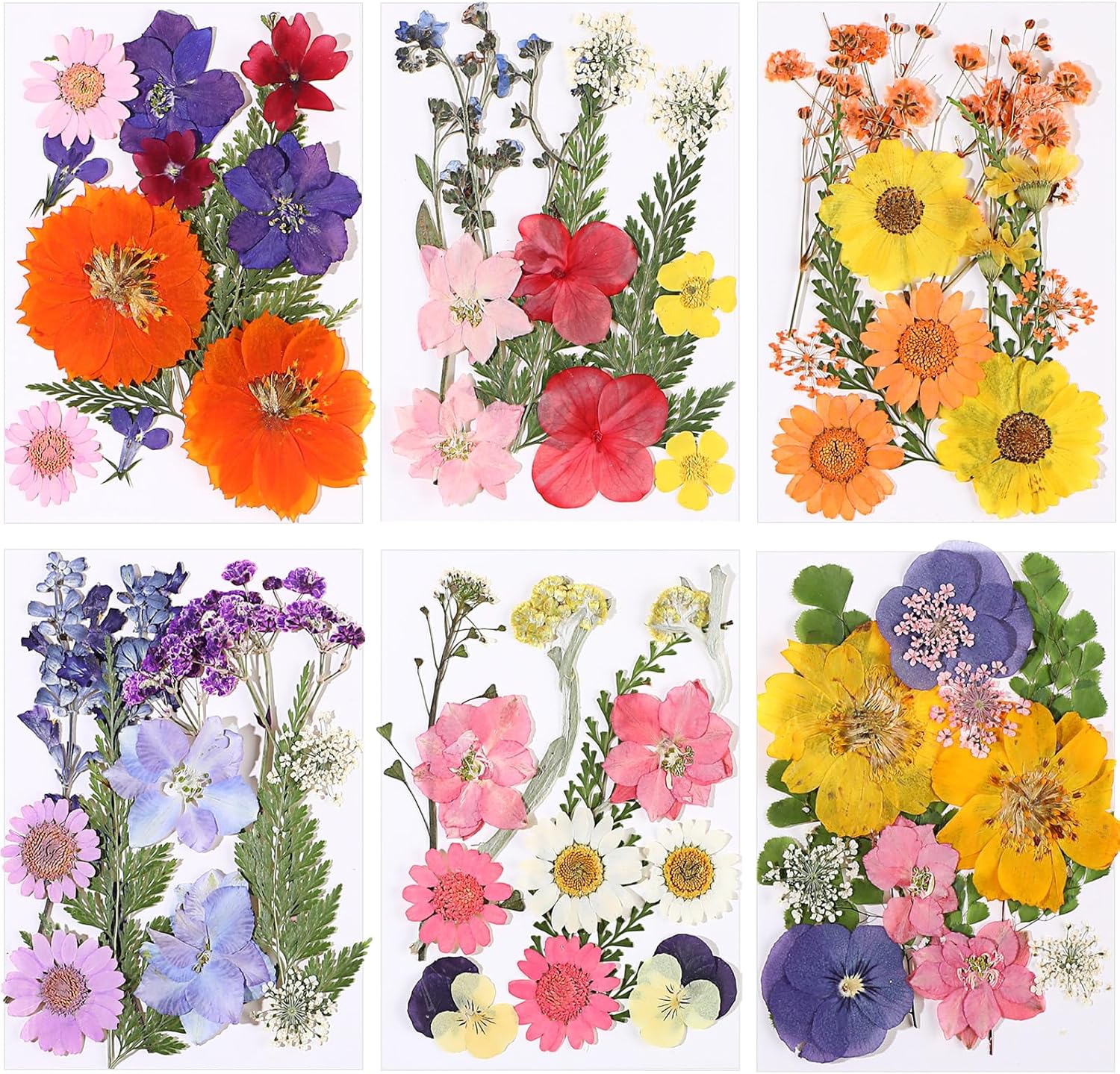 eBoot 72 Pcs Dried Pressed Flowers for Craft Projects