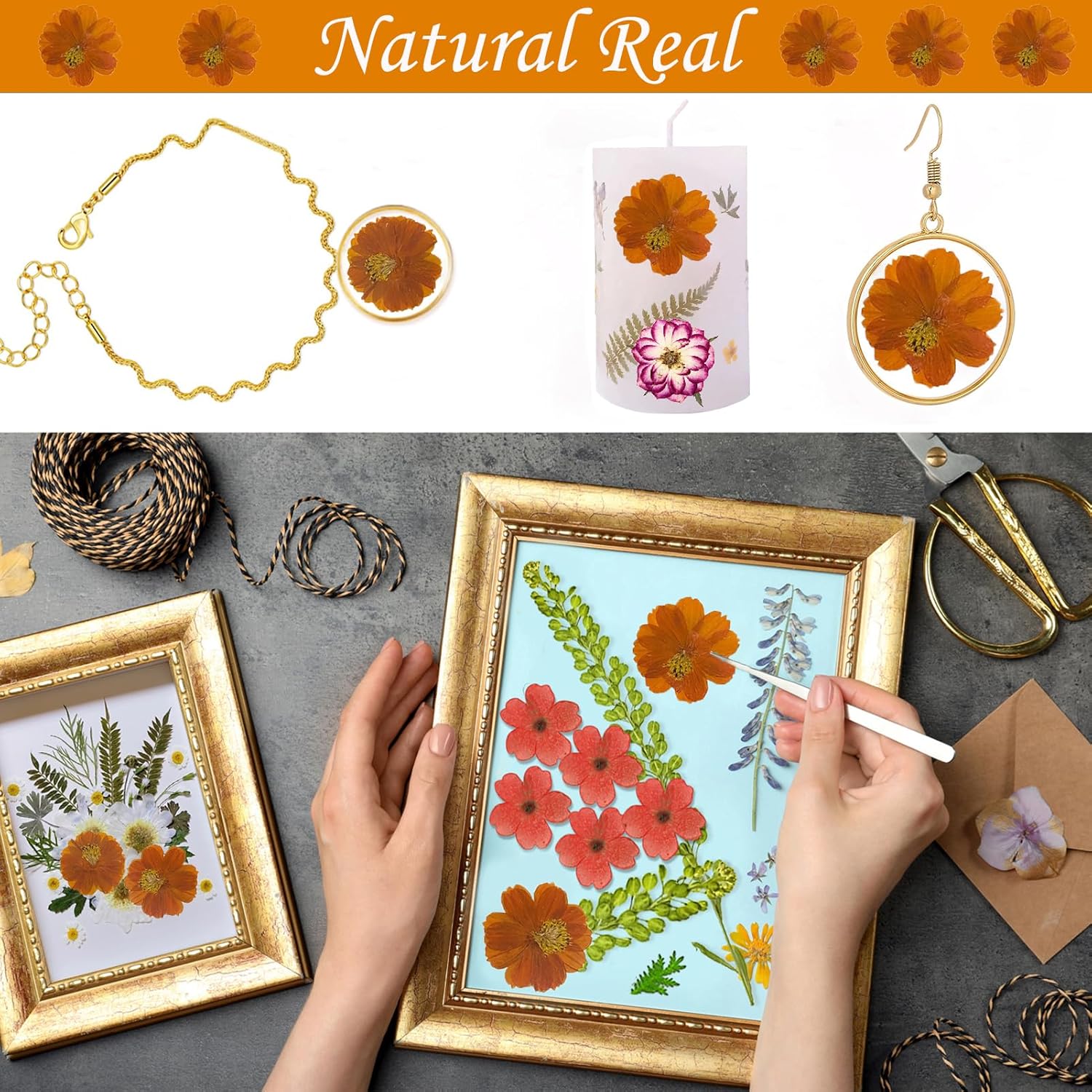 60PCS Dried Orange Cosmos Flowers for Resin Crafts
