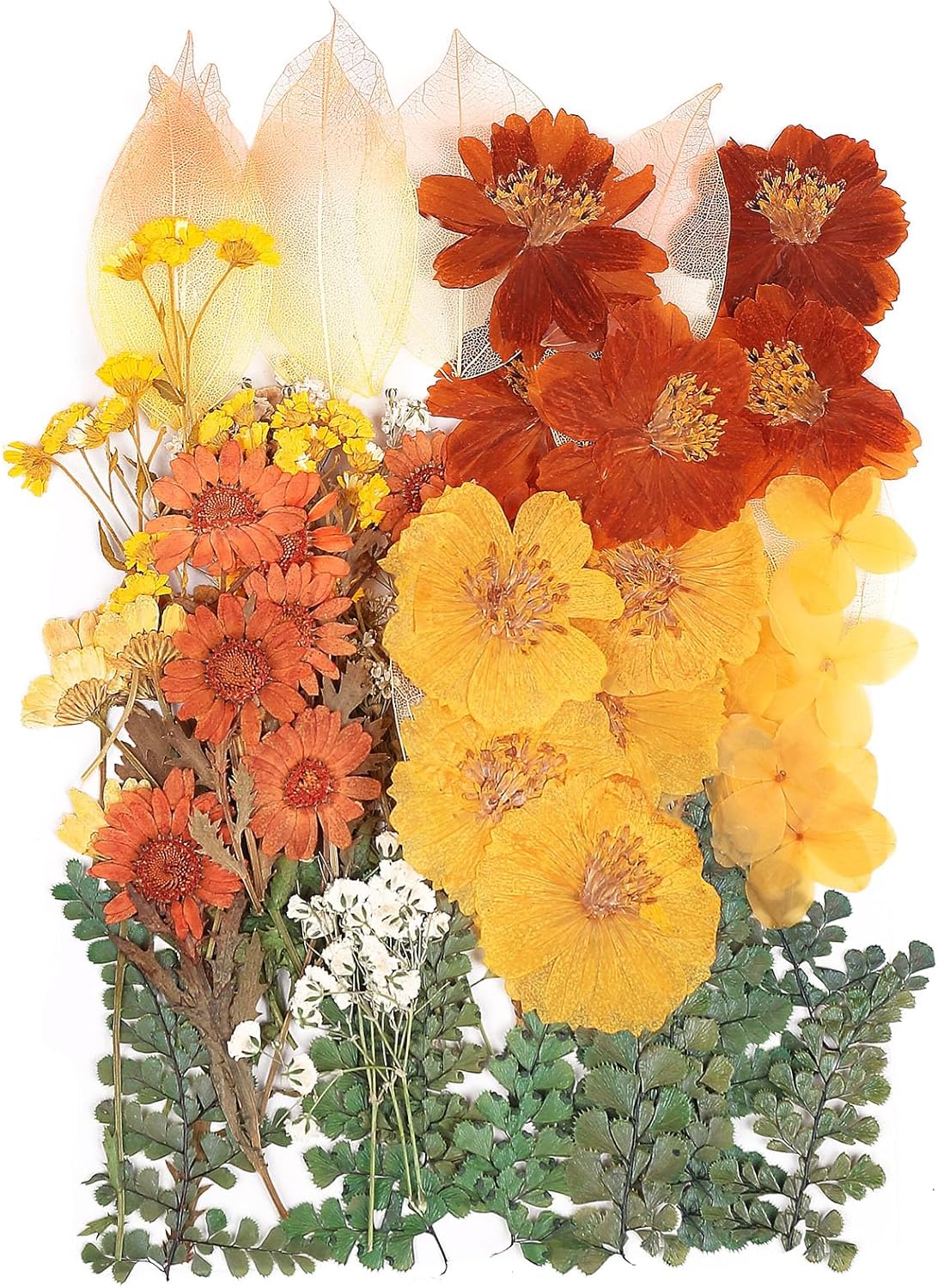 AHTONG 100 PCS Real Dried Flowers Leaves Natural Plant Herbarium - Fall Yellow Orange