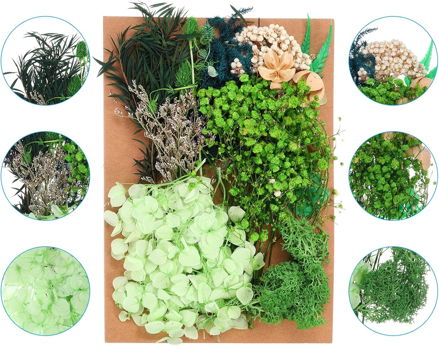 PATIKIL Dried Flowers for Crafting and DIY Projects