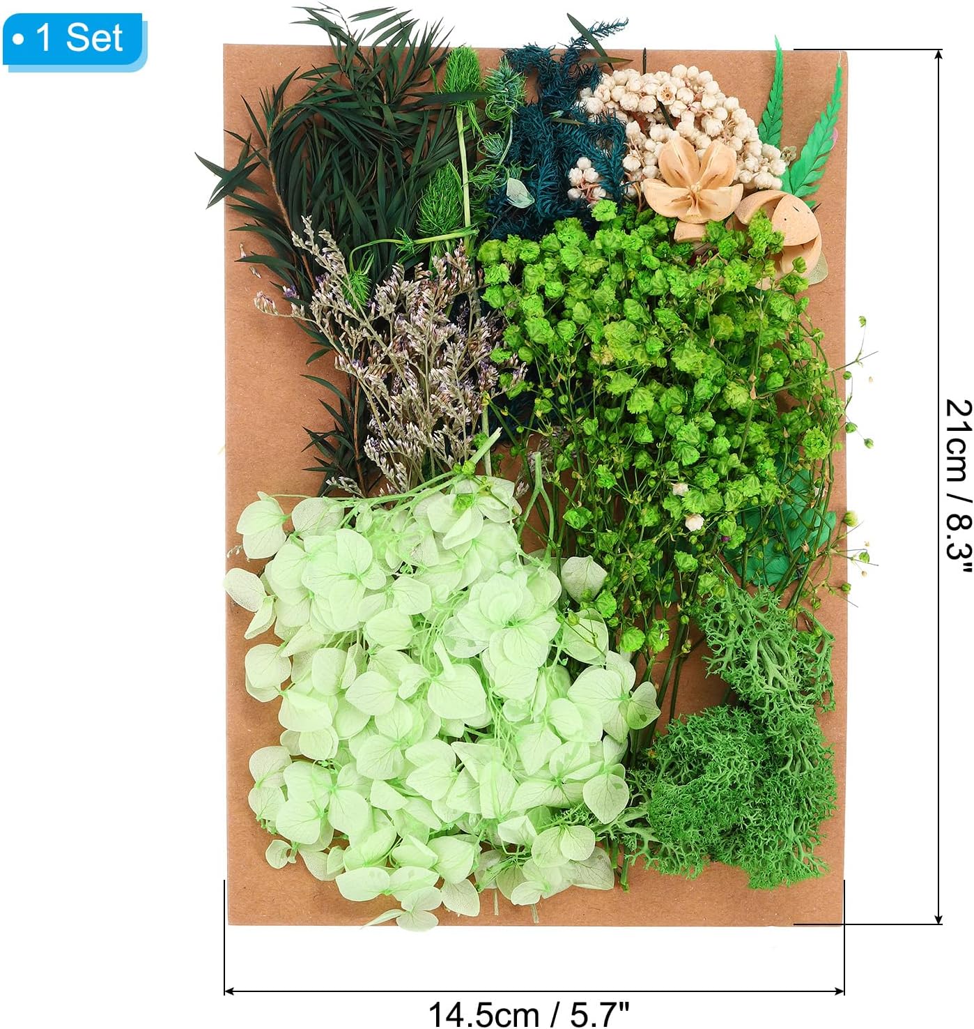 PATIKIL Dried Flowers for Crafting and DIY Projects