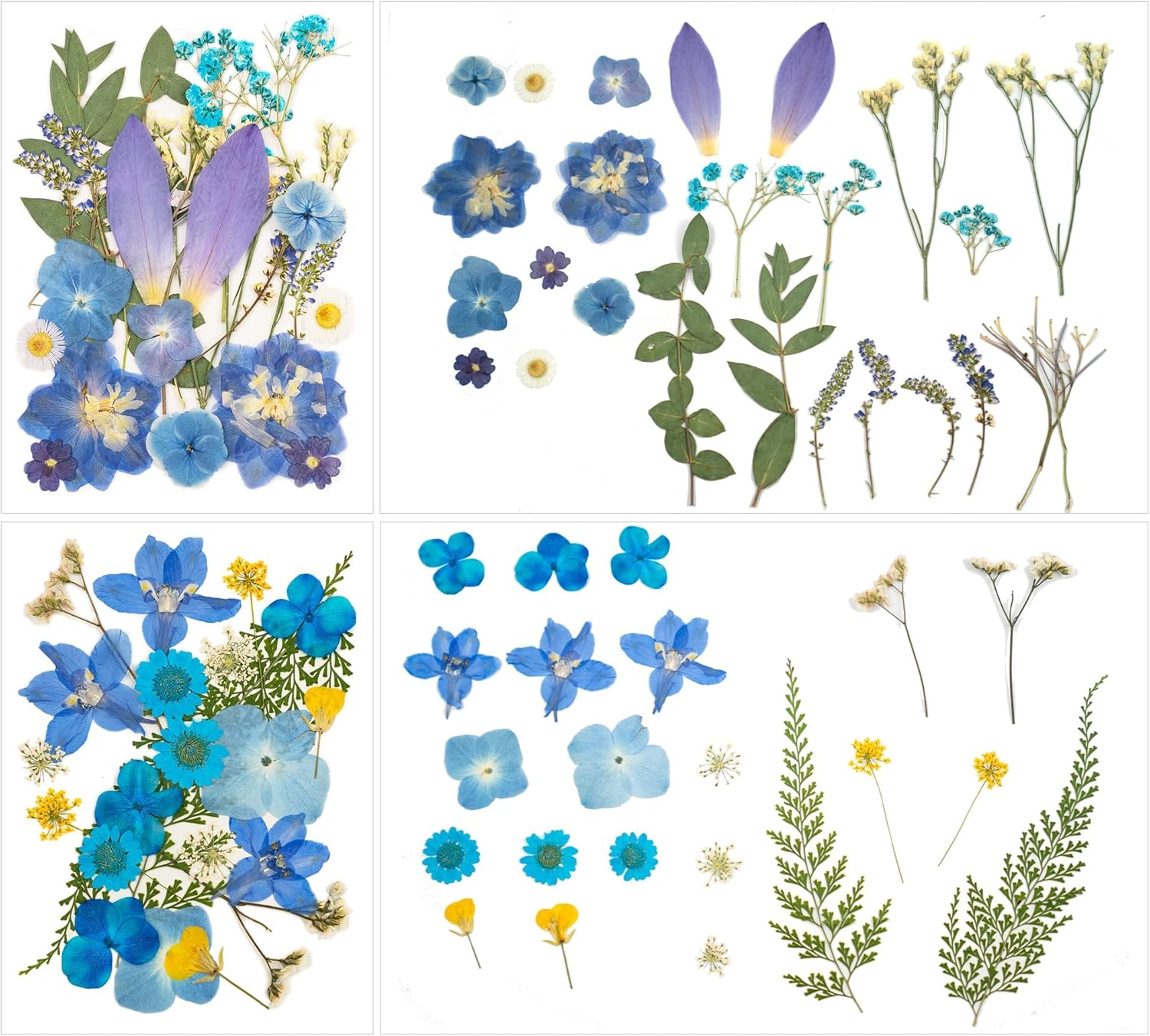 100 Pcs Dried Pressed Flowers for Epoxy Resin Jewelry and Scrapbooking