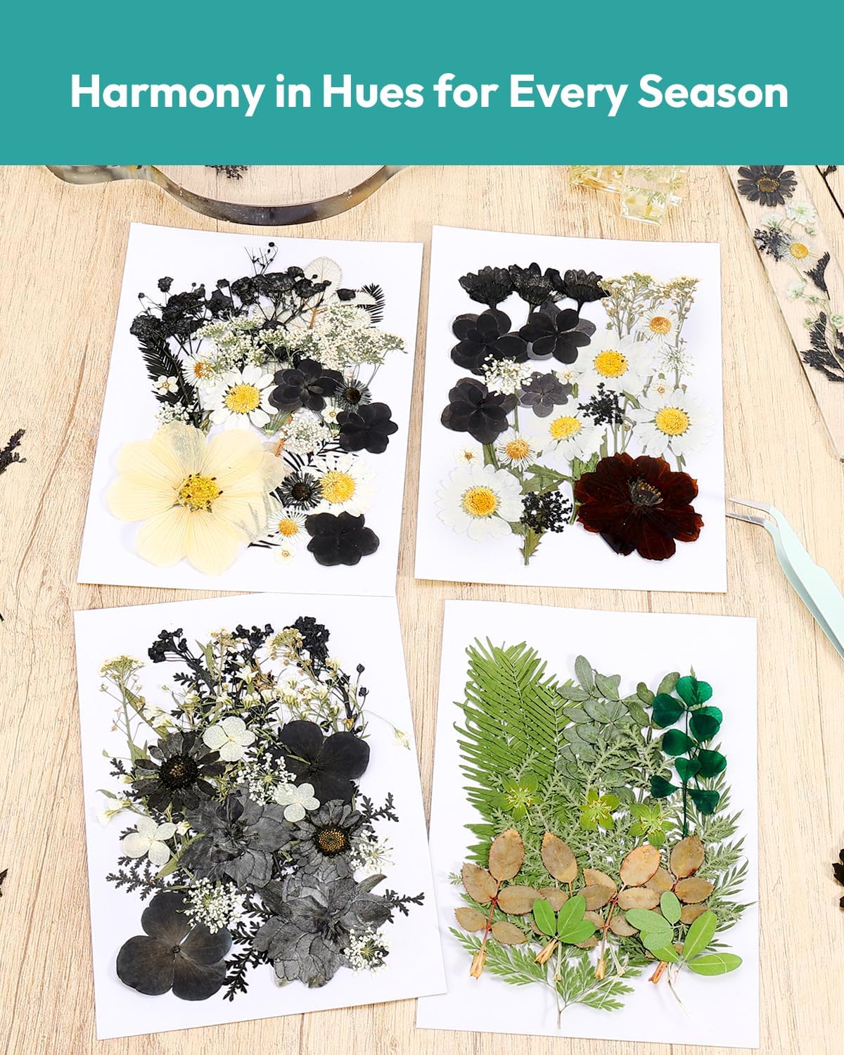 Dried Flowers Pressed Flowers Craft Kit for Scrapbooking DIY