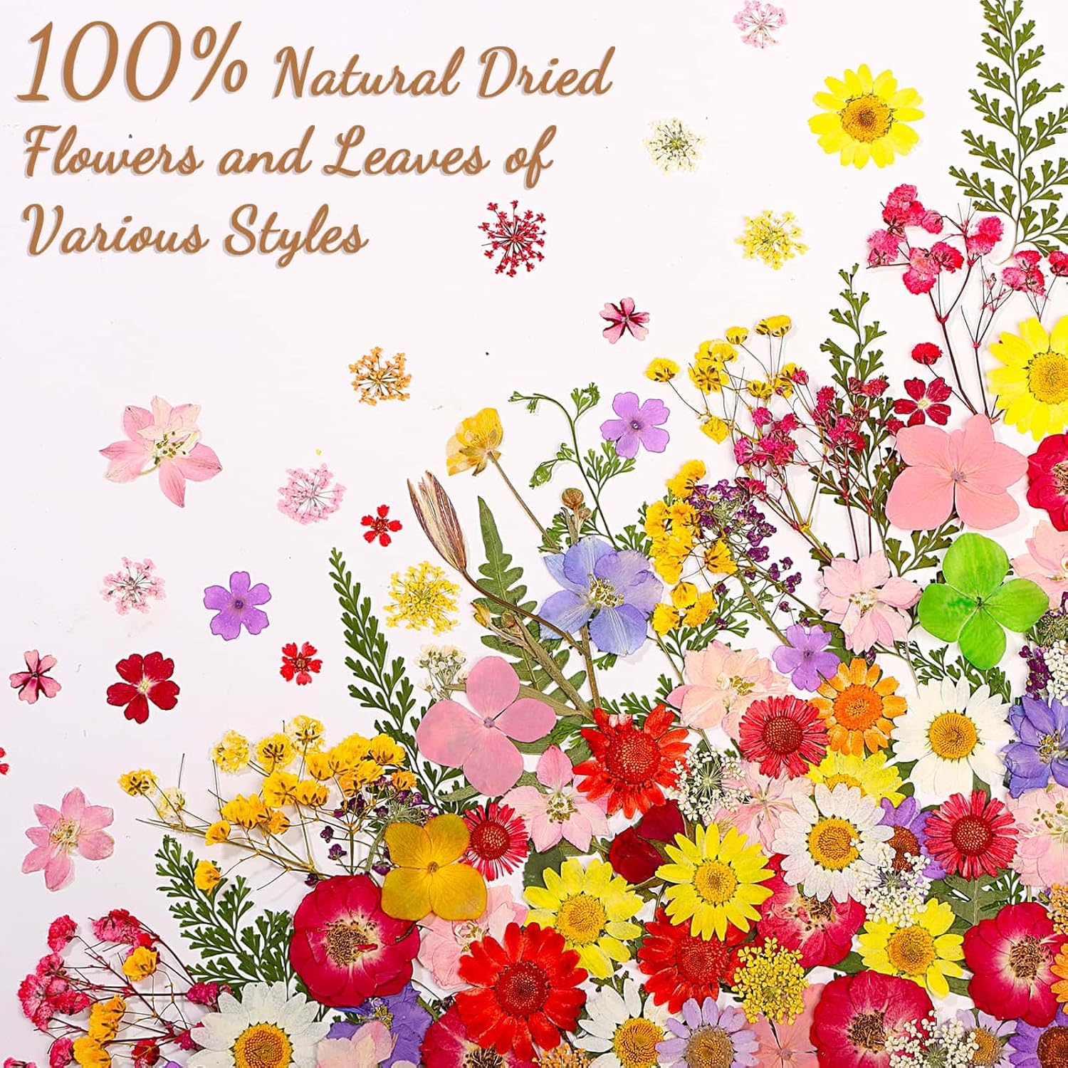160 Pcs Dried Flowers Pressed Real Flowers for Resin Crafts