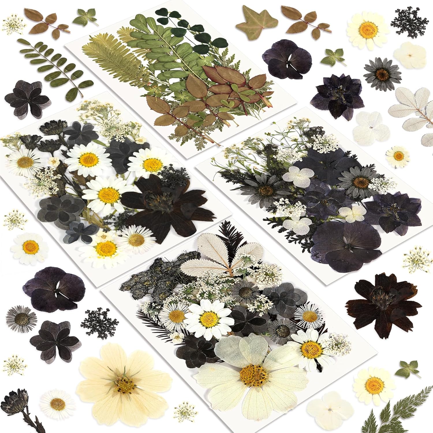 Dried Flowers Pressed Flowers Craft Kit for Scrapbooking DIY