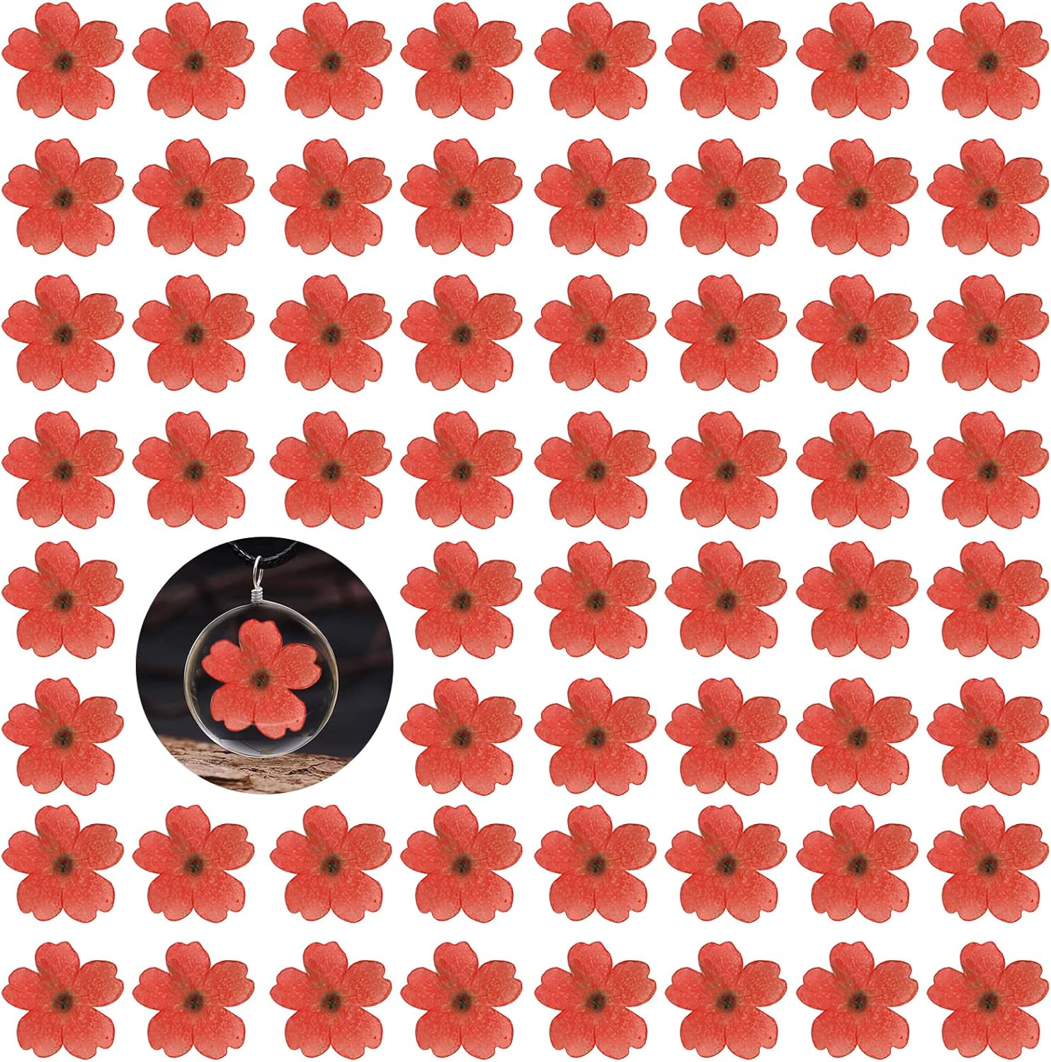 Red Dried Cherry Blossom Flowers for Resin Crafts 60PCS