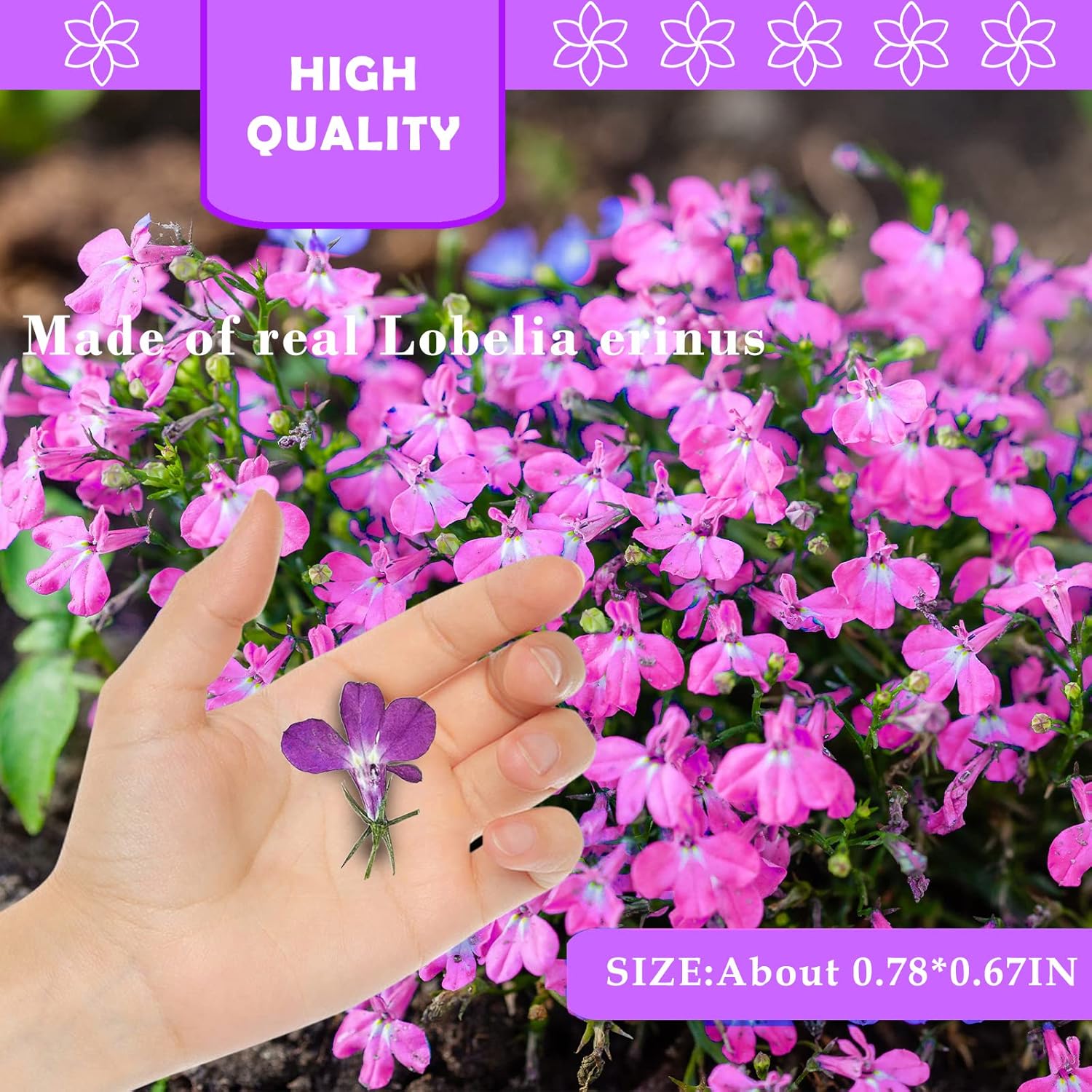 Purple Dried Flowers for Resin Crafts 60PCS
