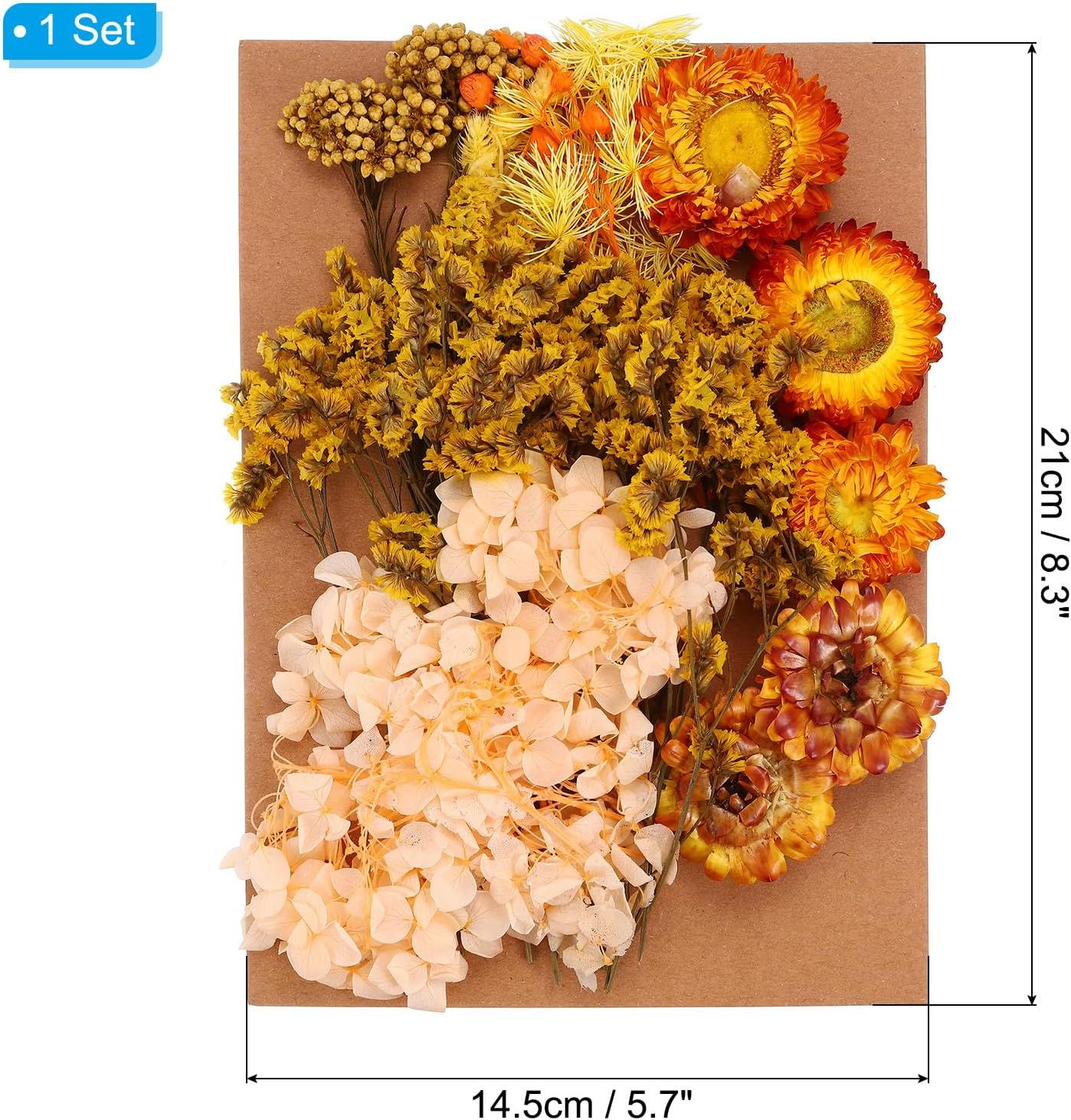 PATIKIL Orange Pressed Flowers for Resin Crafts and DIY Projects
